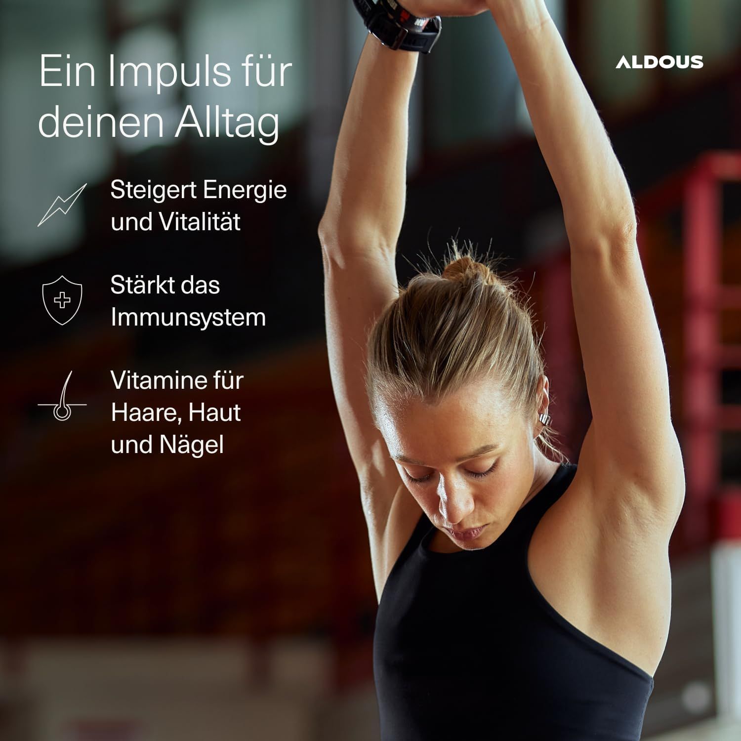 Aldous Multivitamin Gummies