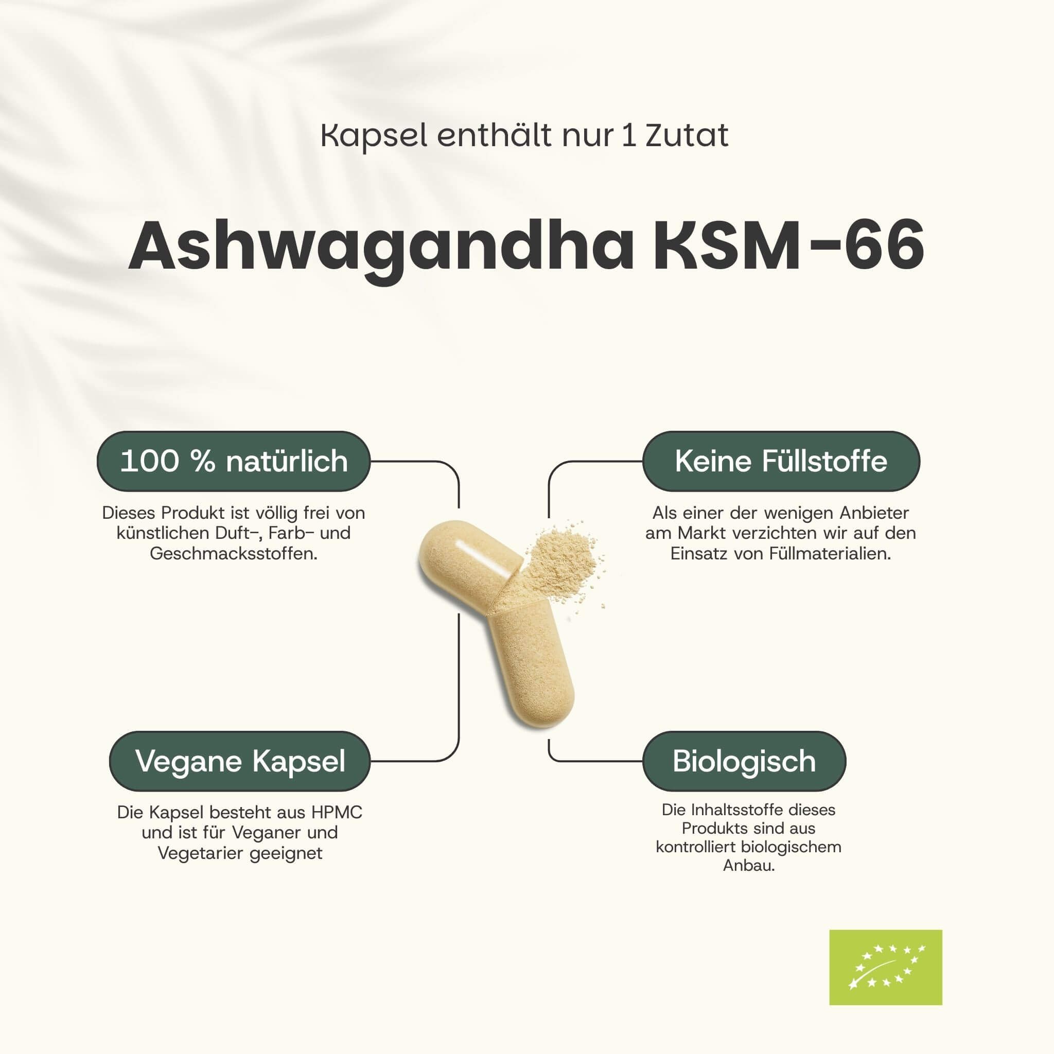 Kapsel mit Pulver. Text: Ashwagandha KSM-66. 100% natürlich, keine Füllstoffe, vegane Kapsel, biologisch.