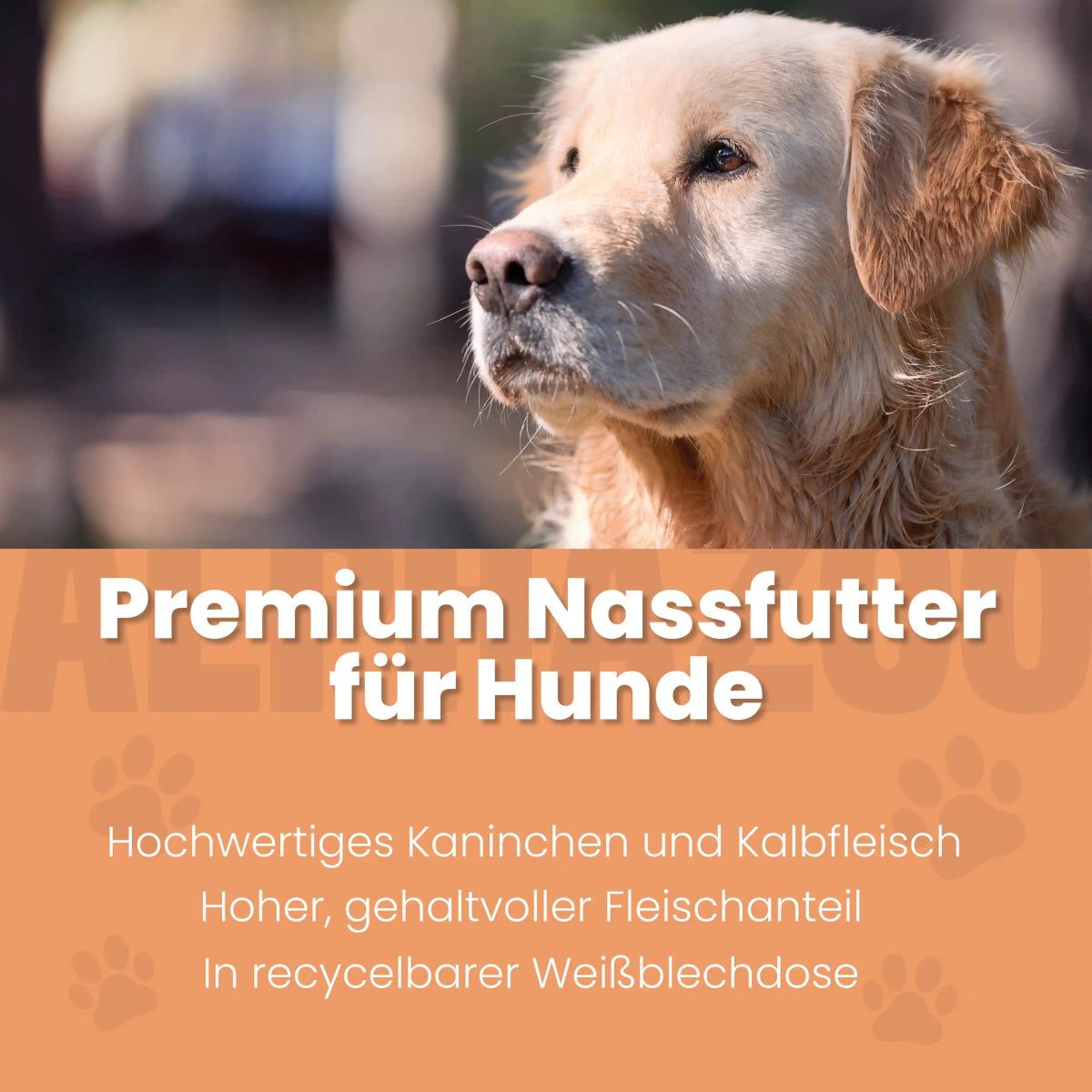 Golden Retriever vor orangefarbenem Hintergrund. Text: Premium Nassfutter für Hunde. Hochwertiges Kaninchen und Kalbfleisch.
