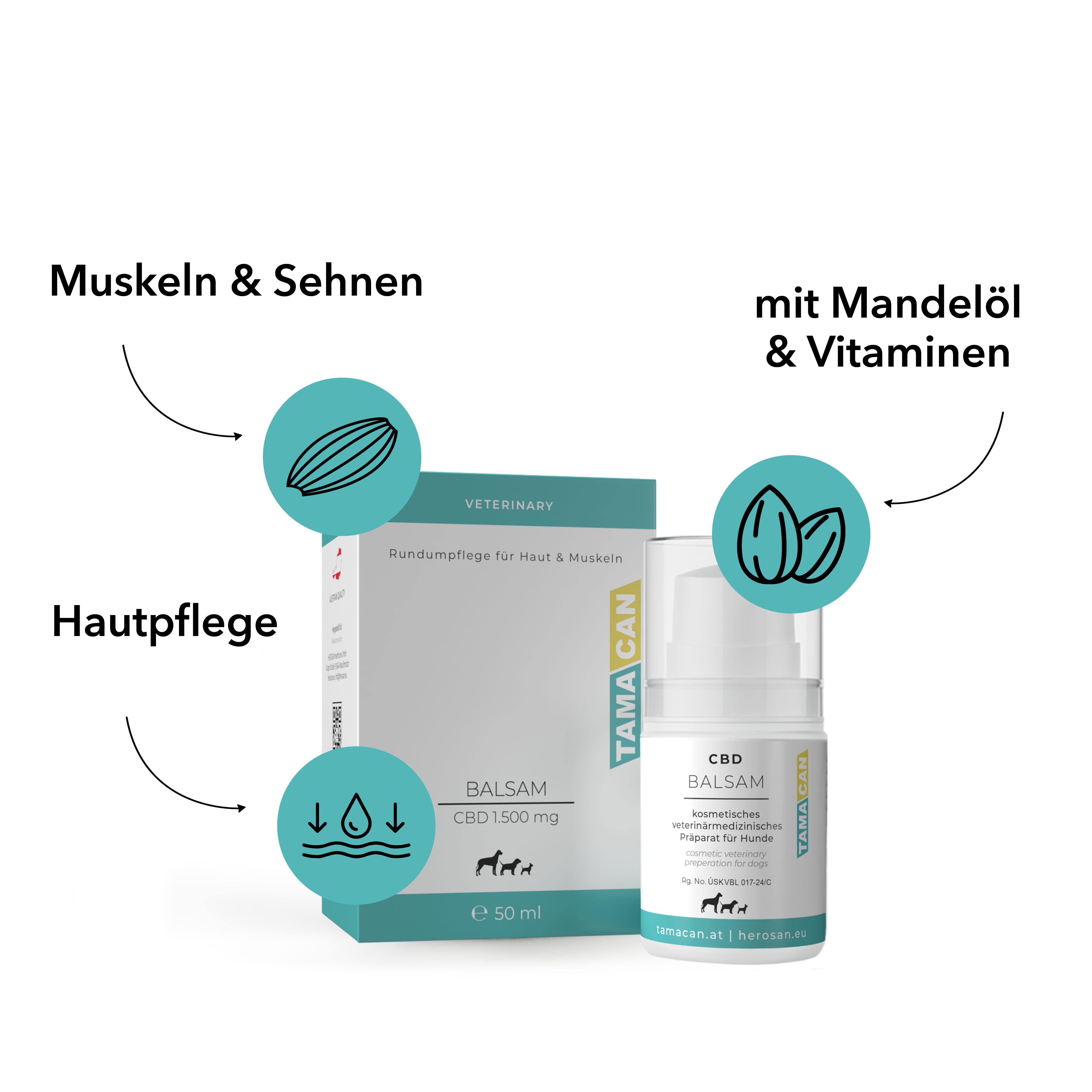 CBD Balsam für Hunde. Produkt und Verpackung mit Illustrationen von Inhaltsstoffen: Mandeln, Hautpflege, Muskeln & Sehnen.