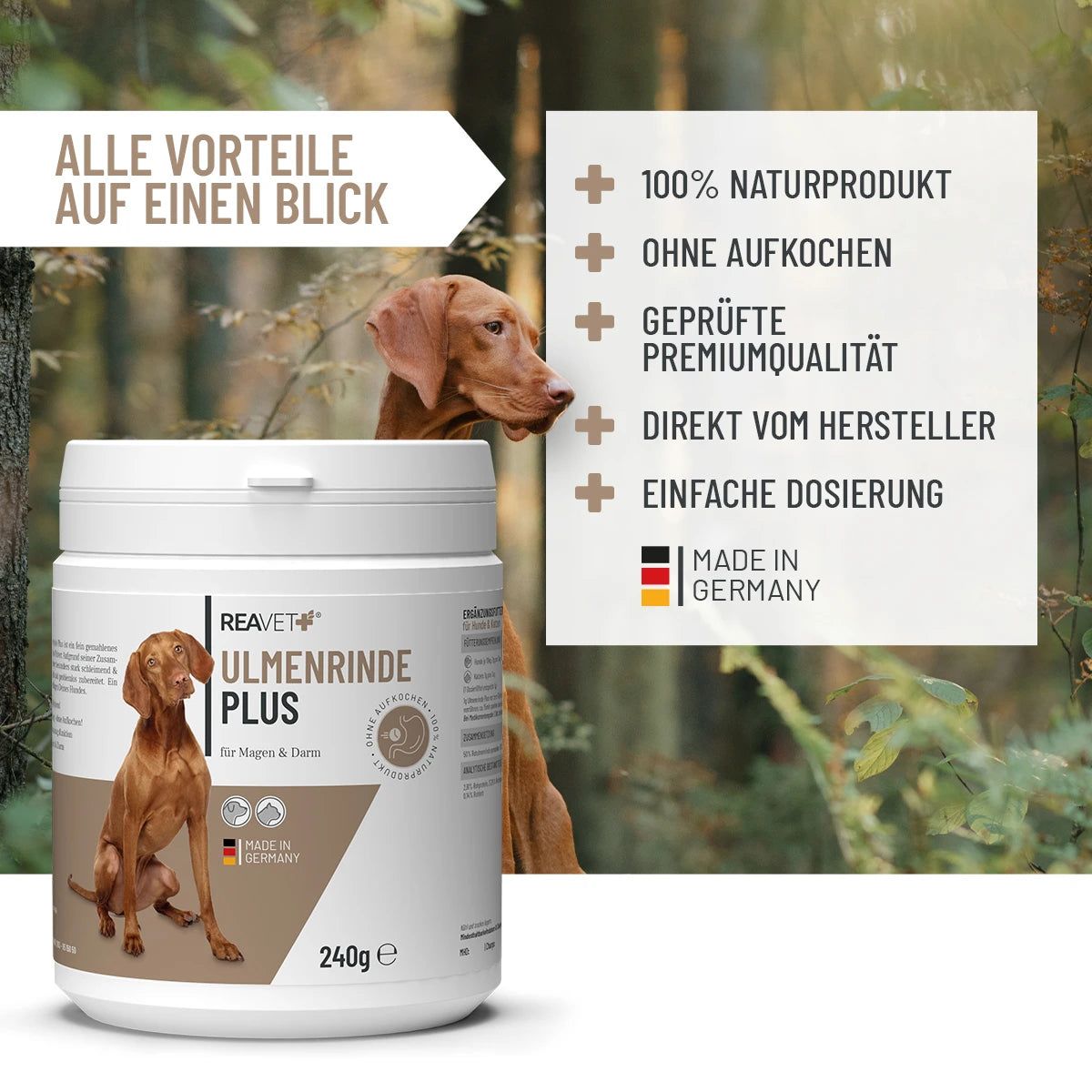 ReaVET Ulmenrinde Plus Dose, 240g. Hund auf Verpackung. Text: 100% Naturprodukt, Made in Germany.