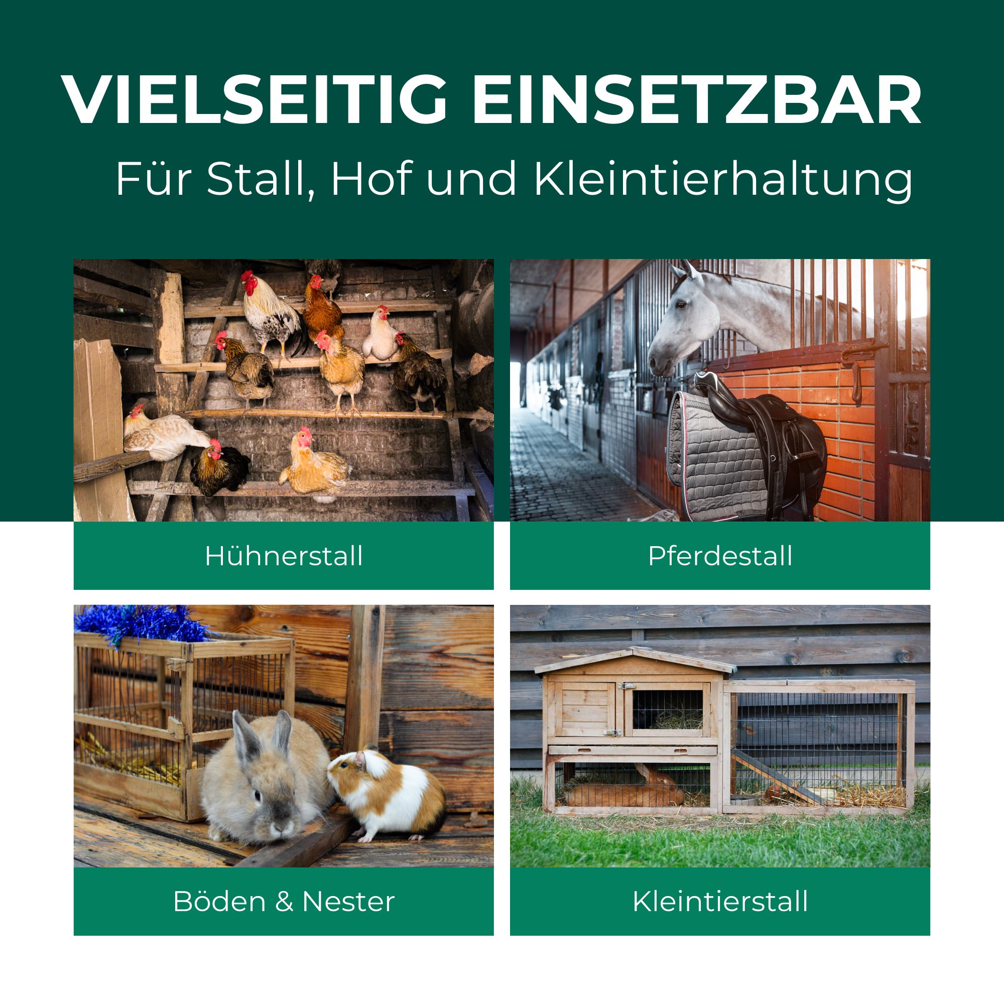 Vier Bilder: Hühnerstall, Pferdestall, Böden & Nester, Kleintierstall. Text: Vielseitig einsetzbar für Stall, Hof und Kleintierhaltung.