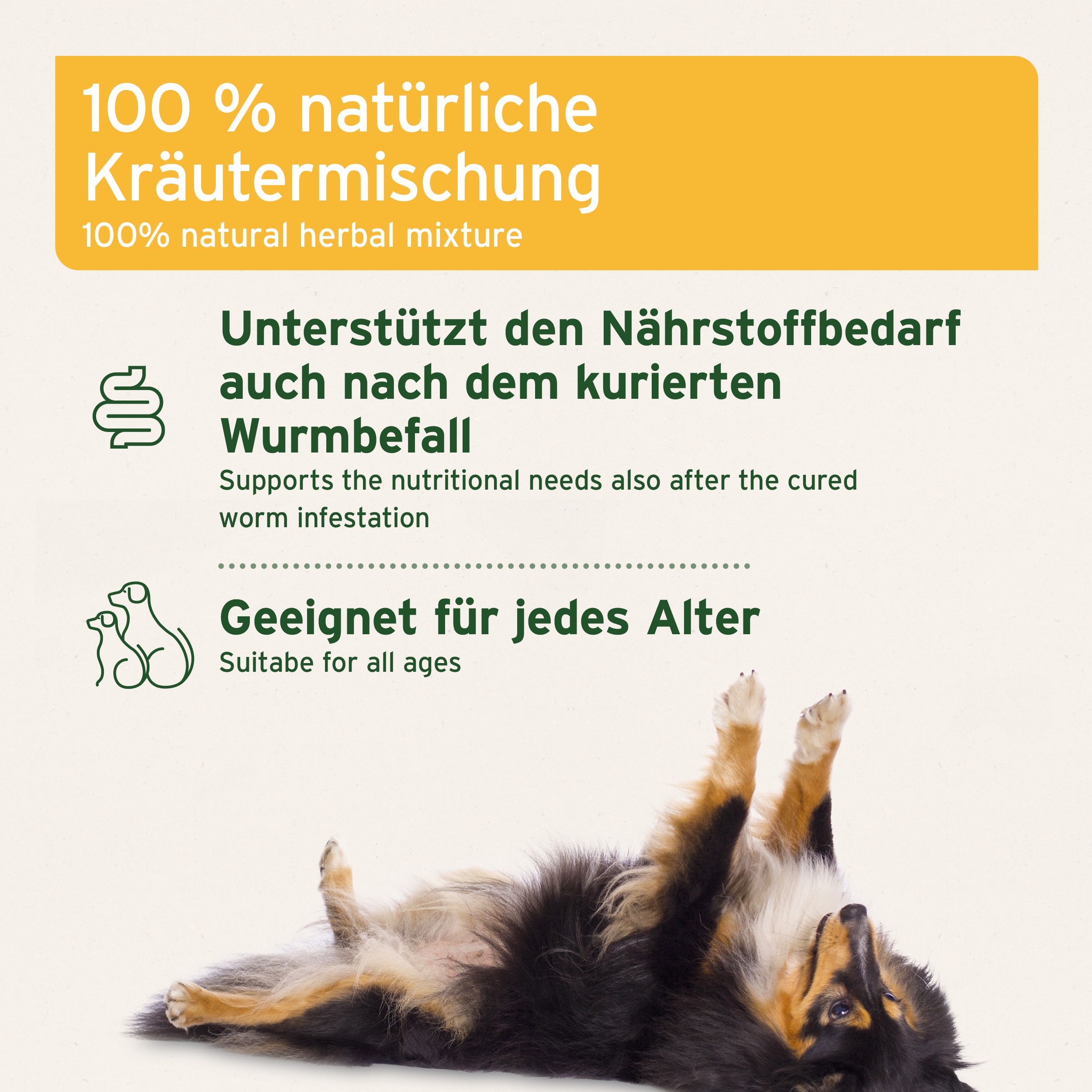 AniForte WermiX für Hunde