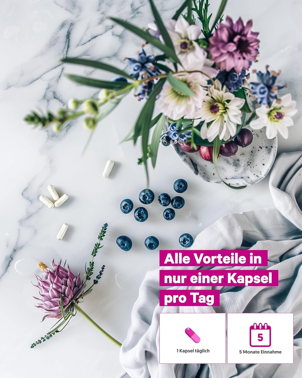 NUTRIBRAIN  Marianendistel Kapseln