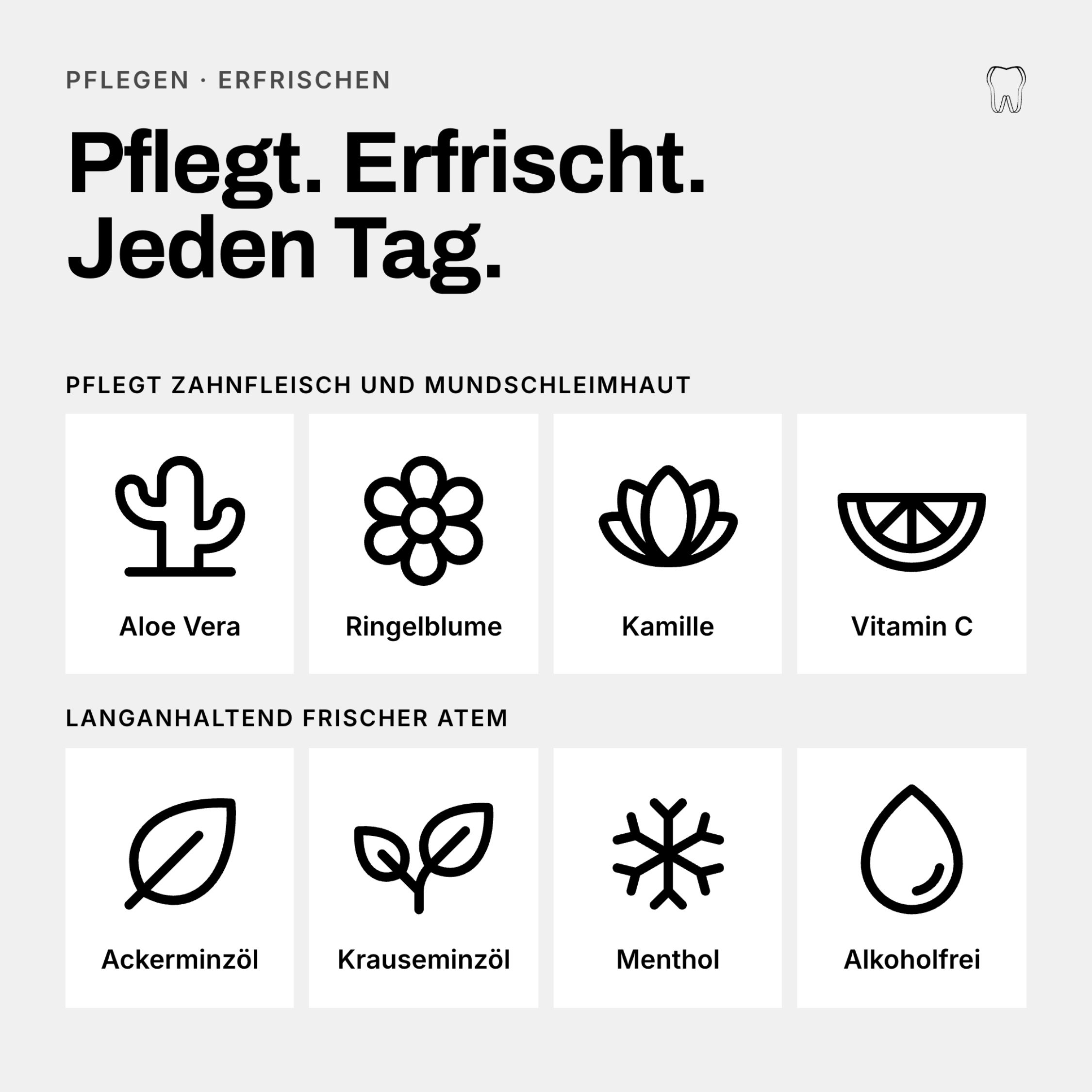 Zutaten für Zahnheld Mundspülung Mint: Aloe Vera, Ringelblume, Kamille, Vitamin C, Minze.
