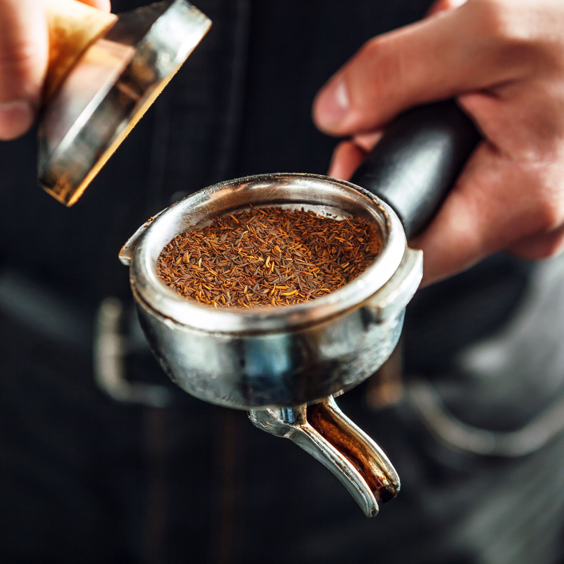Hände halten einen Siebträger mit Rooibos-Tee. Der Siebträger ist teilweise geöffnet. Nahaufnahme.