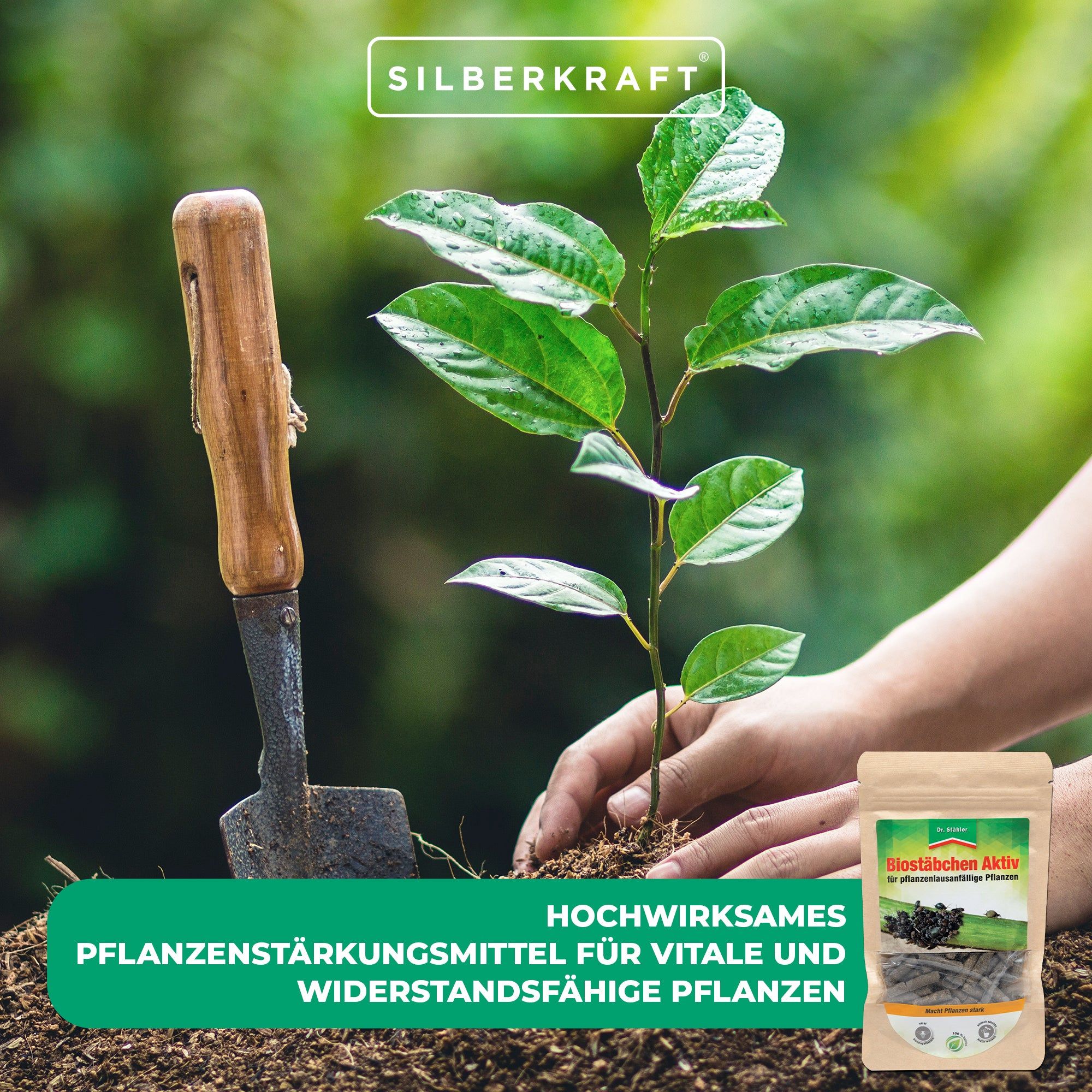 Silberkraft Biostäbchen Aktiv Hochwirksames Pflanzenstärkungsmittel