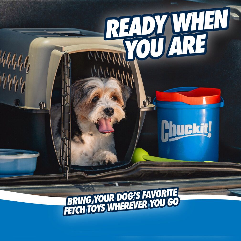 Hund in Transportbox. Daneben blauer Chuckit! Eimer mit orangefarbenem Deckel. Text: Ready when you are.