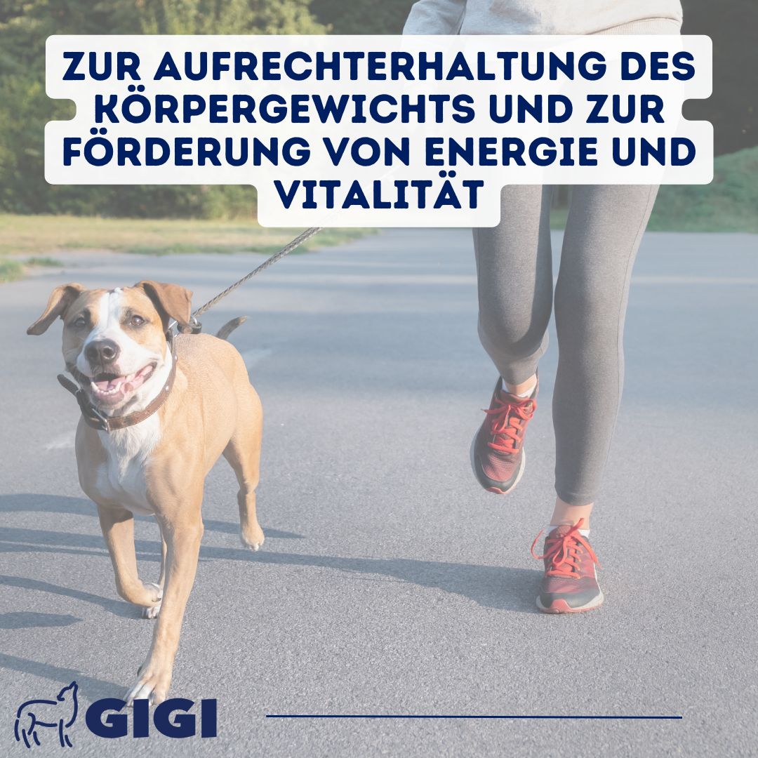 Hund mit Leine läuft neben Person. Text: "Zur Aufrechterhaltung des Körpergewichts und zur Förderung von Energie und Vitalität".