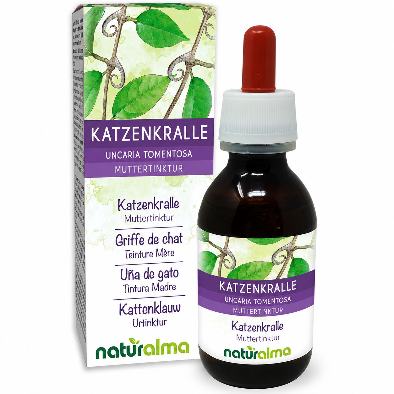 Katzenkralle Muttersaft Tropfflasche mit Pipette und Karton.