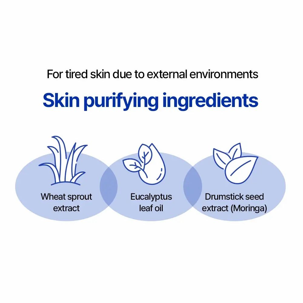 Grafik mit drei ovalen Elementen. Enthält Abbildungen von Weizensprossen, Eukalyptusblattöl und Moringa-Samenextrakt mit Text.