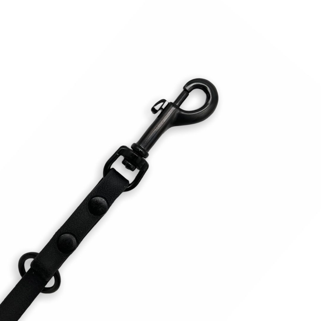 Schwarzer Karabinerhaken mit Leinenansatz. Zwei Knöpfe.