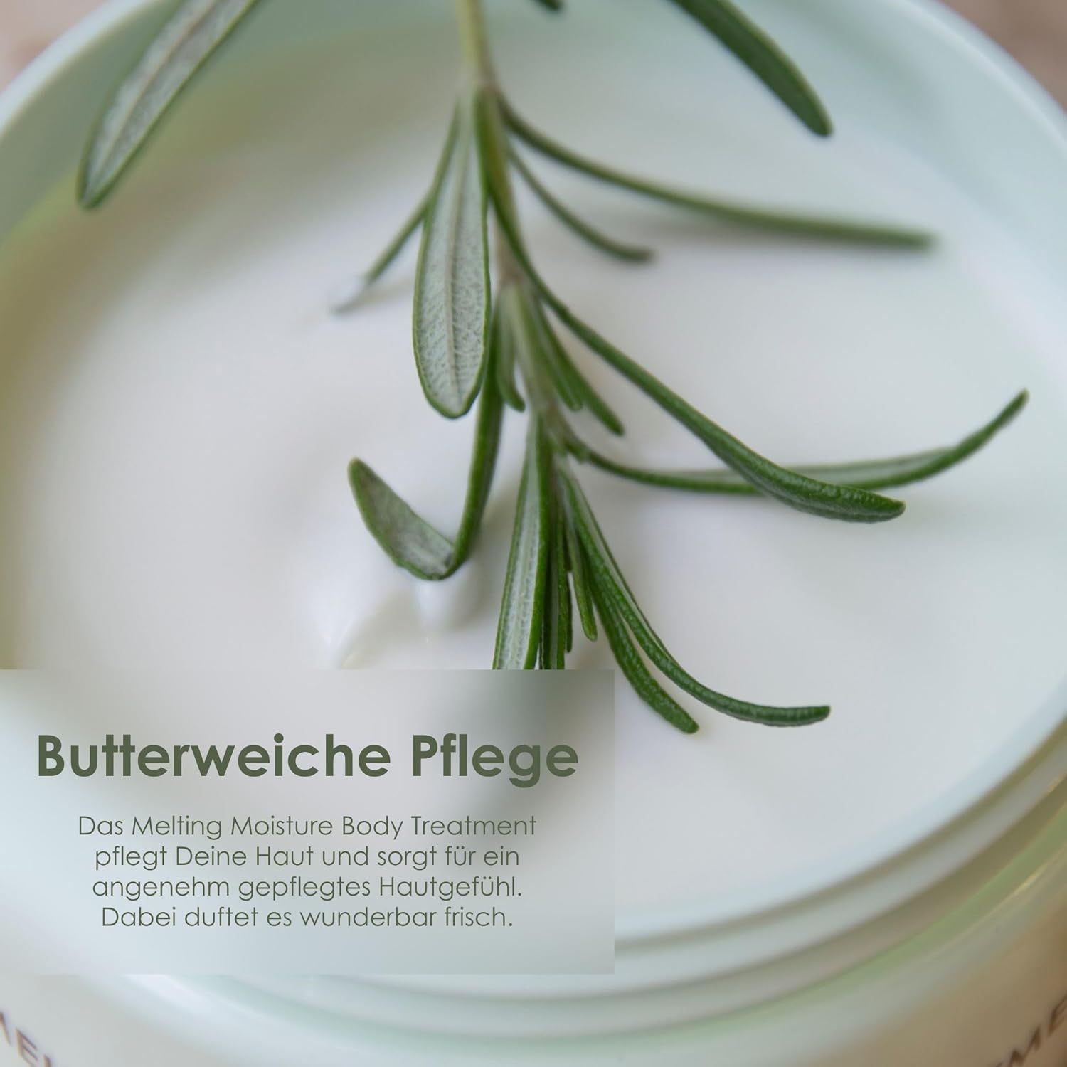 Nahaufnahme von Creme mit Rosmarinzweig. Text: Butterweiche Pflege. Das Produkt pflegt die Haut und sorgt für ein angenehmes Hautgefühl.