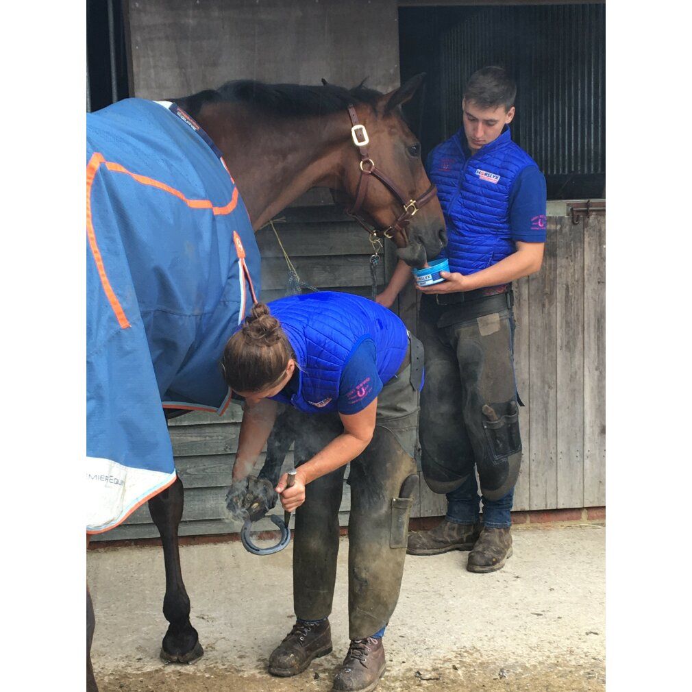 Derby HORSLYX Leckmasse Mint