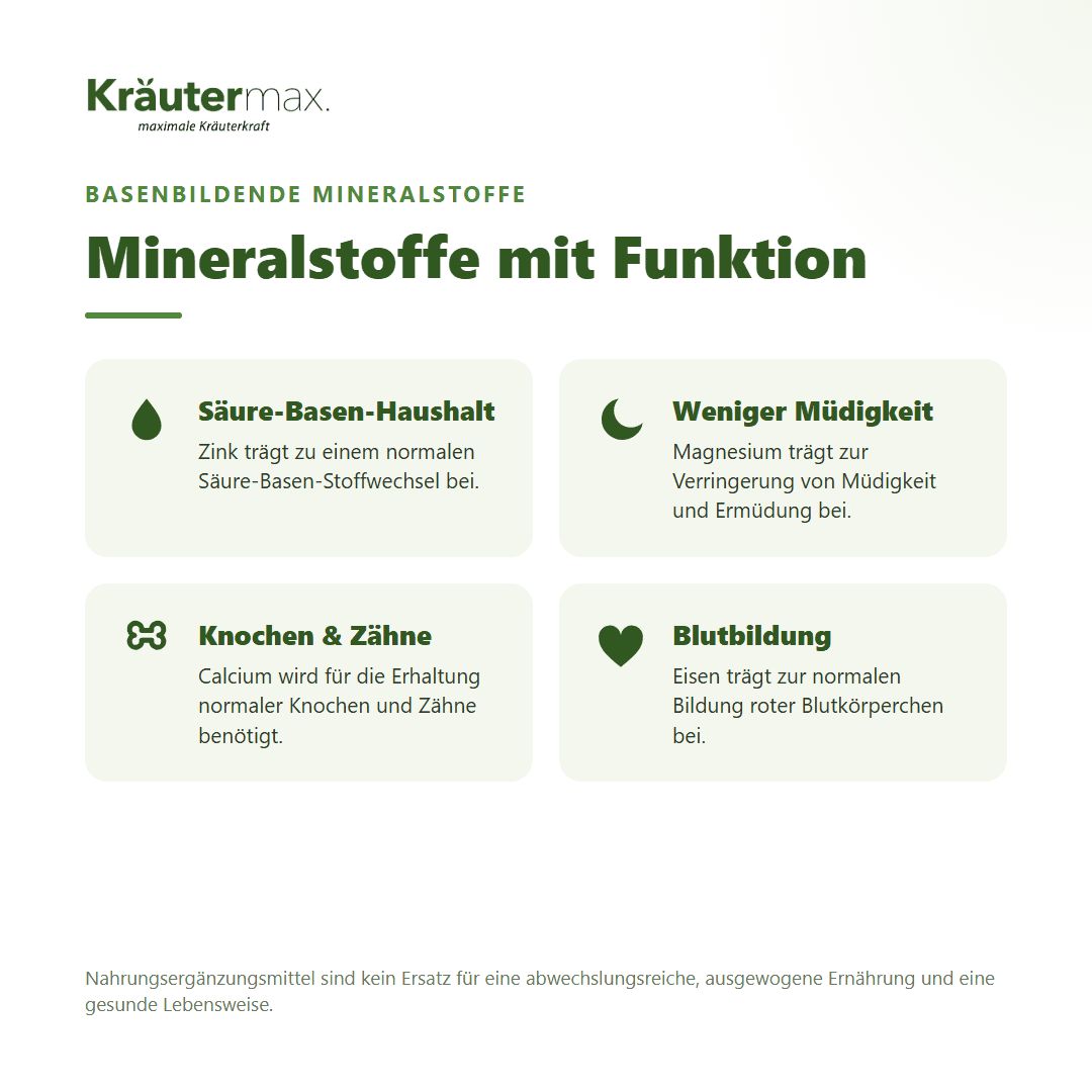 Liste der Inhaltsstoffe von Kräutermax Basen+ Kapseln mit Mengenangaben pro Tagesportion.