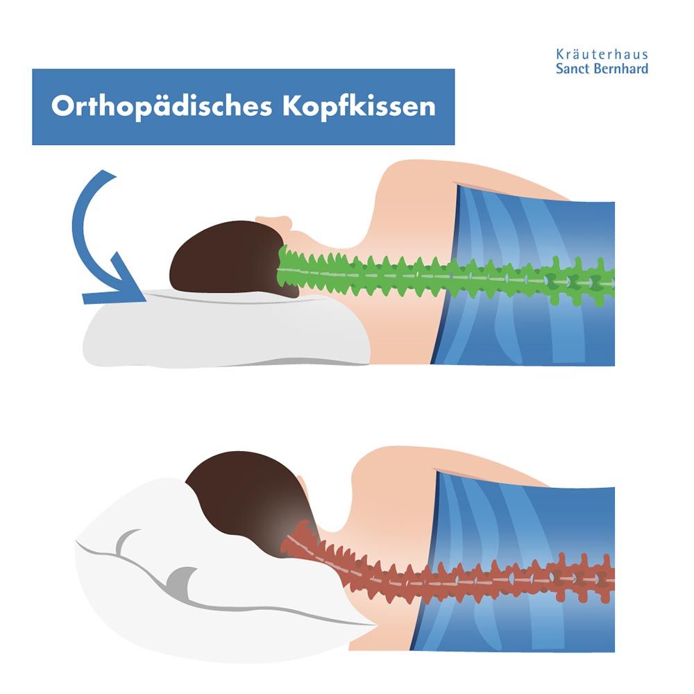 Sanct Bernhard Orthopädisches Kopfkissen