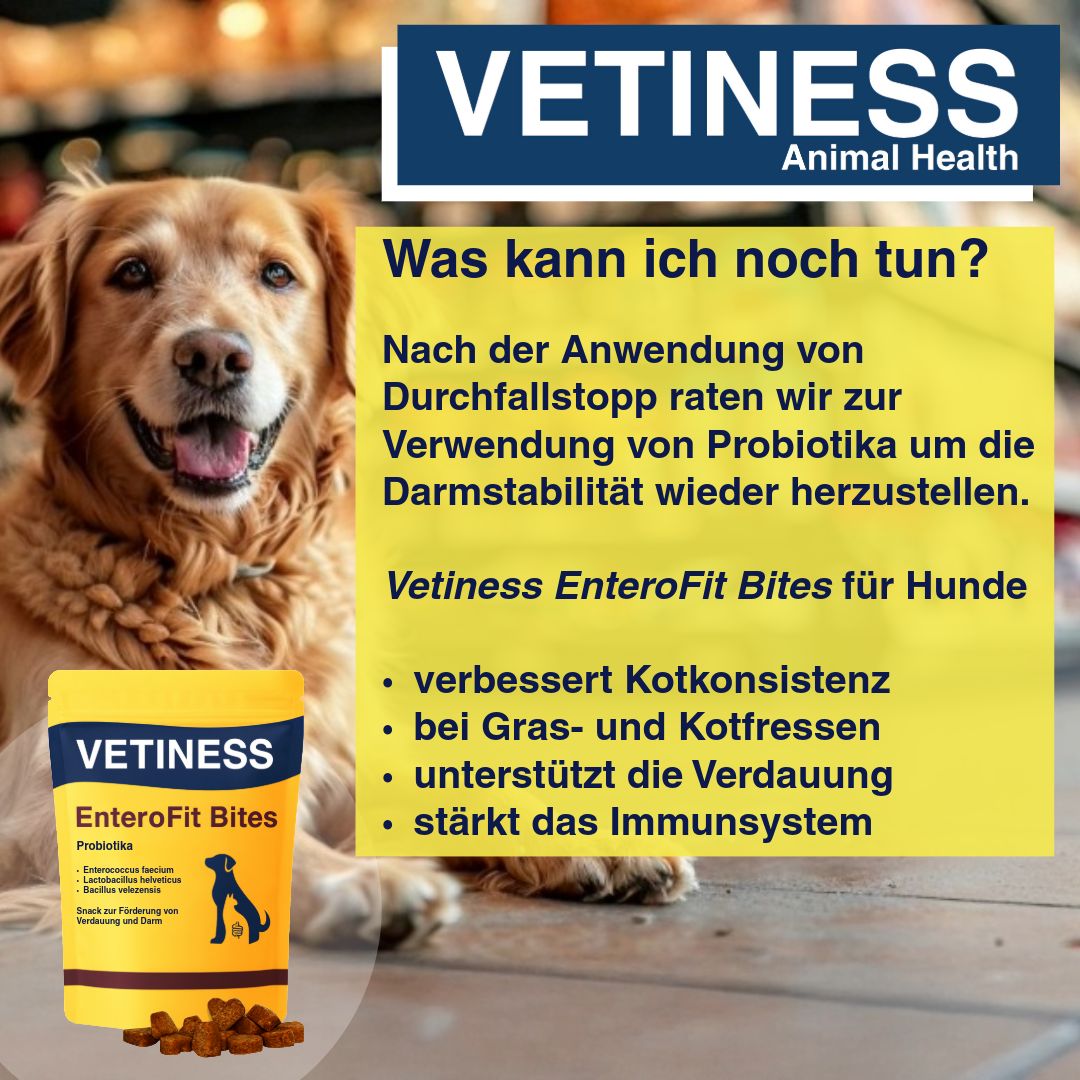 Produktabbildung mit Hund. Text: Was kann ich noch tun? Vetiness EnteroFit Bites für Hunde. Produktverpackung.