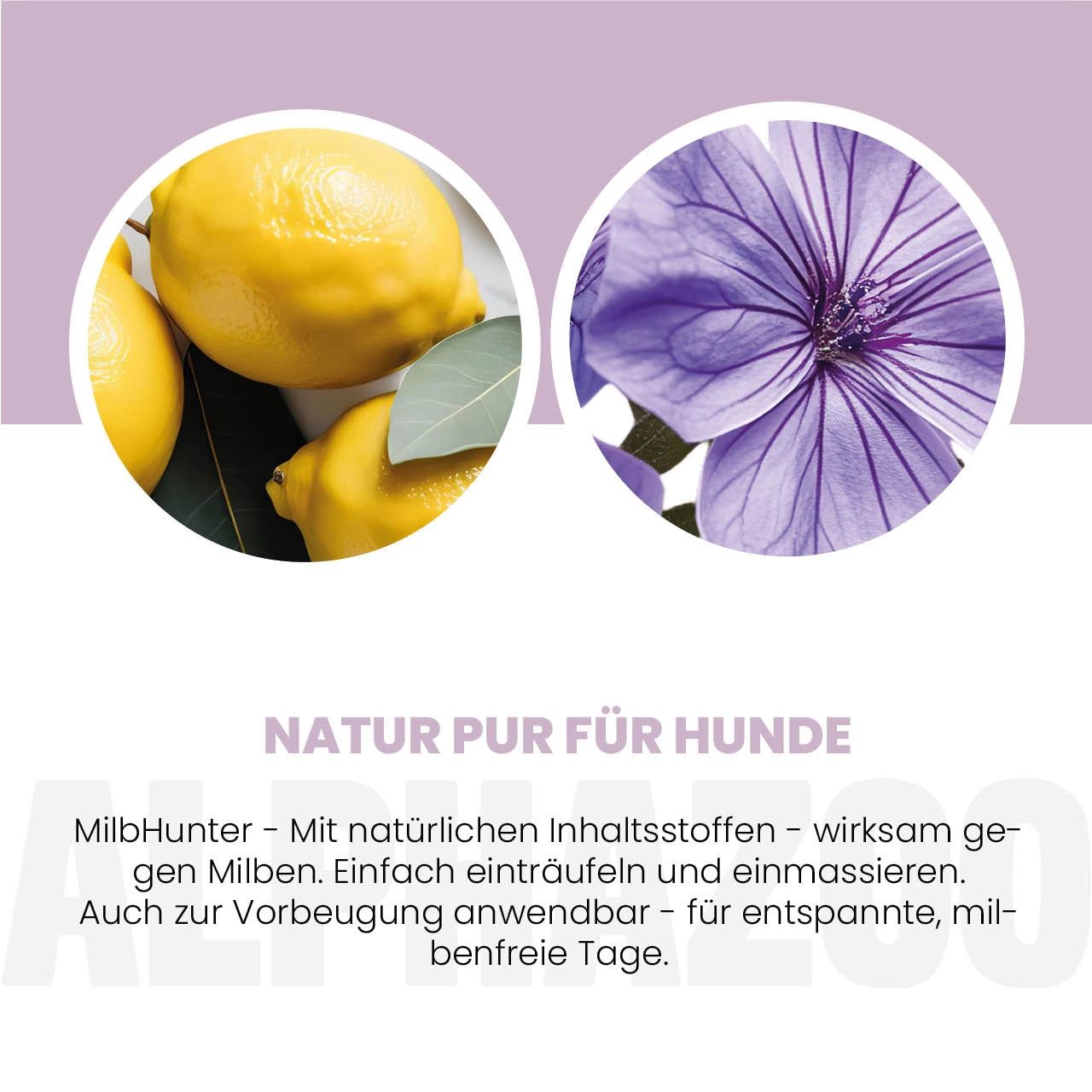 Zitronen und Blume. Text: Natur pur für Hunde. Wirkstoffe gegen Milben. Einfach einträufeln und einmassieren.
