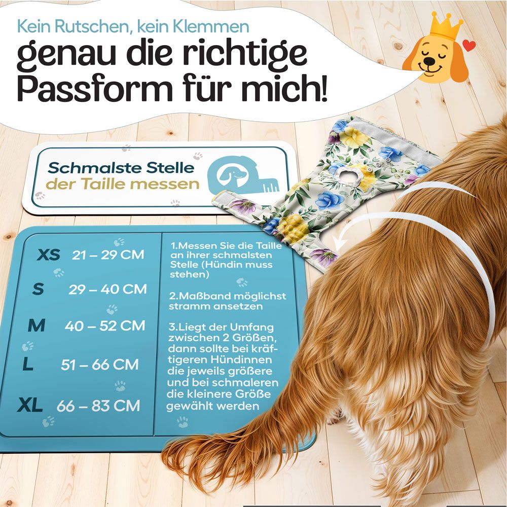 Hündin mit Windel. Größenangaben: XS bis XL. Text: Genau die richtige Passform für mich! Taille messen.