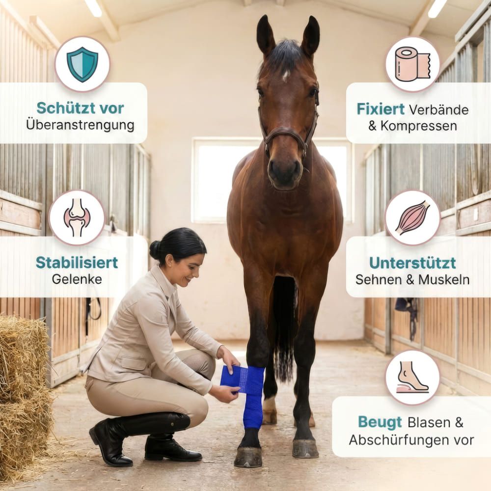 Frau legt blaues Verband an Pferdebein. Text: Schützt vor Überanstrengung, fixiert Verbände, stabilisiert Gelenke, unterstützt Sehnen & Muskeln.