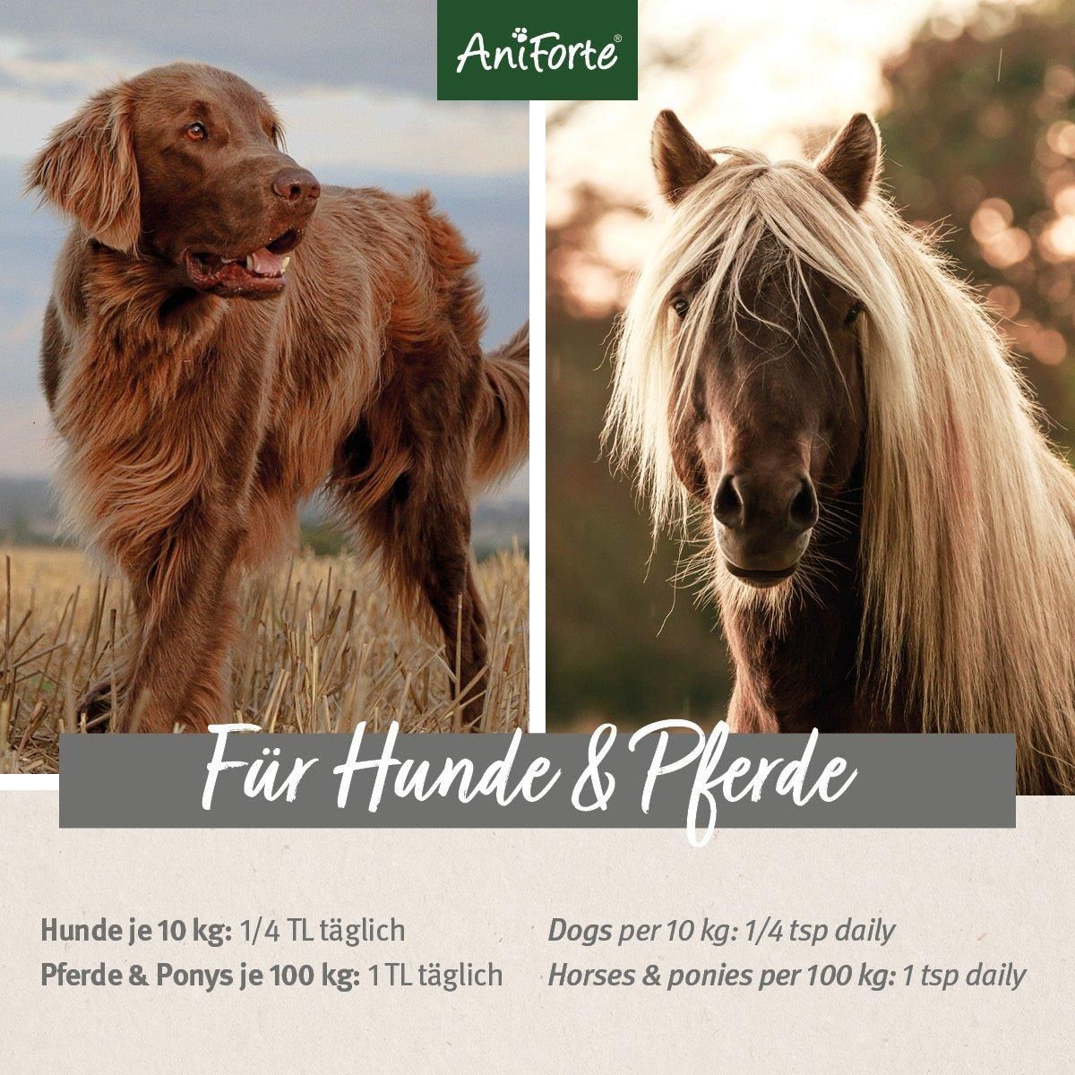 Hund und Pferd. Text: Für Hunde & Pferde. Dosierung: Hunde je 10 kg: 1/4 TL täglich. Pferde je 100 kg: 1 TL täglich.