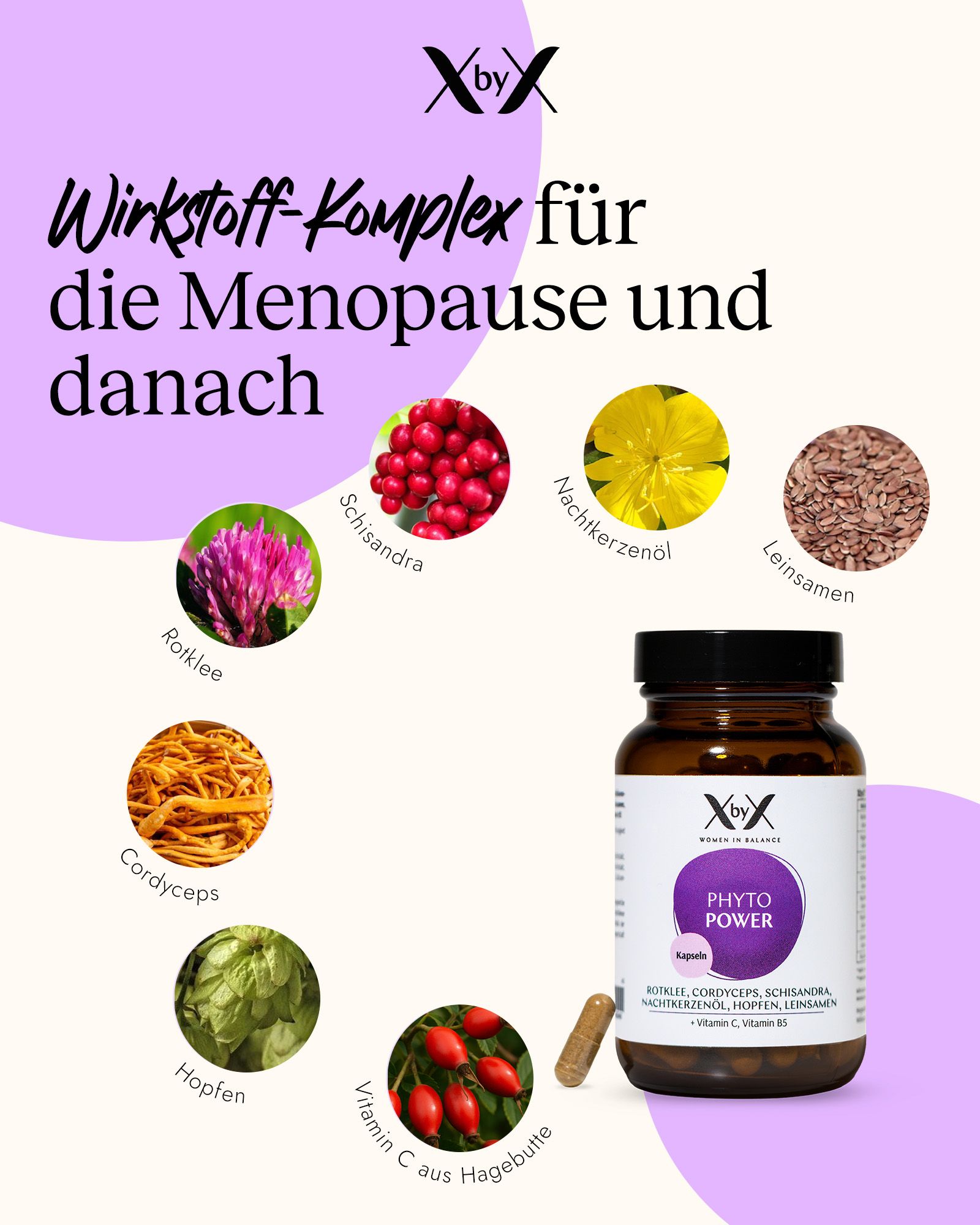 XbyX Phyto Power Kapsel-Flasche umgeben von Zutaten wie Rotklee, Schisandra und Cordyceps.
