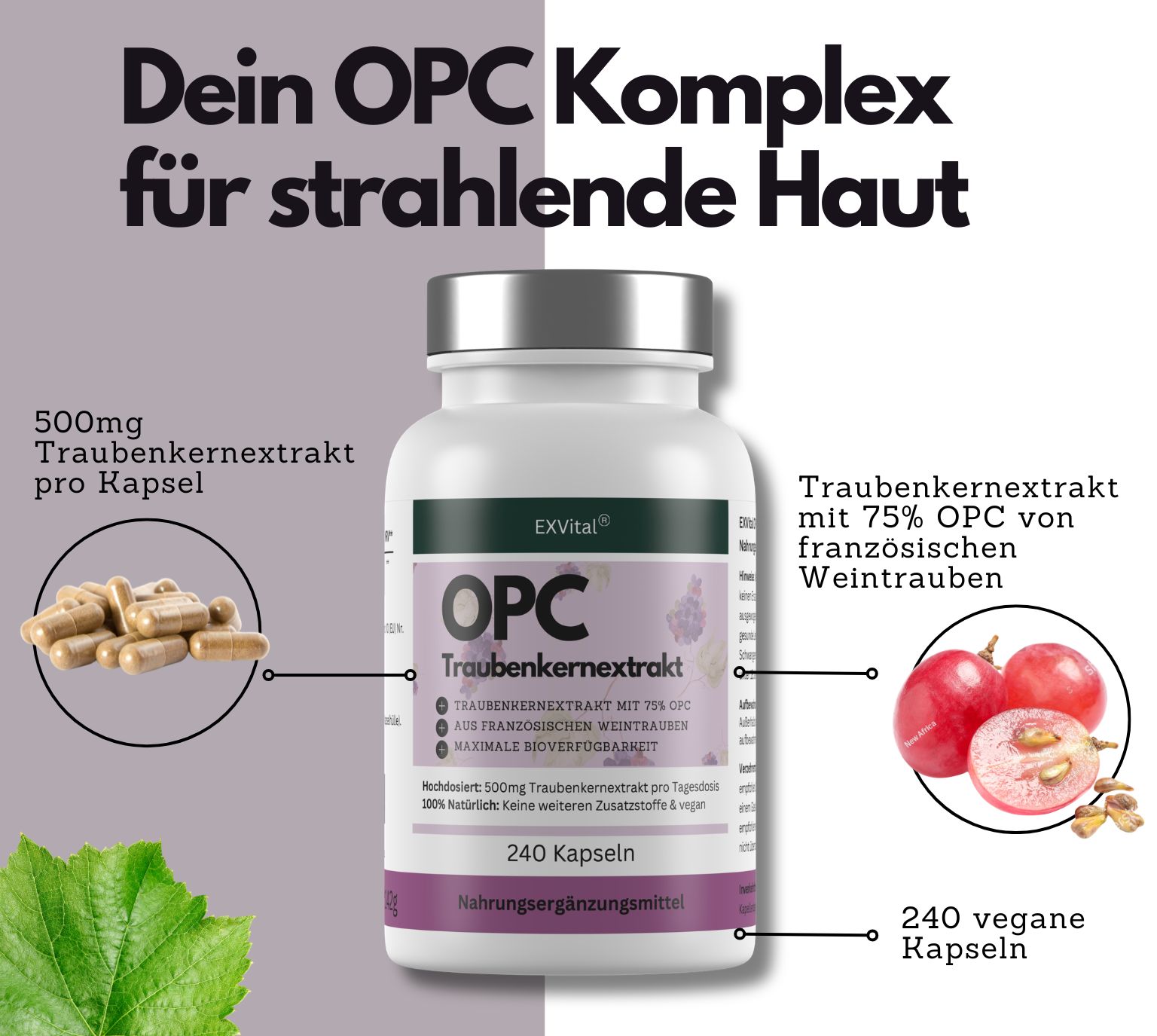 Flasche EXVital OPC Traubenkernextrakt mit Kapseln, Trauben und Blatt.