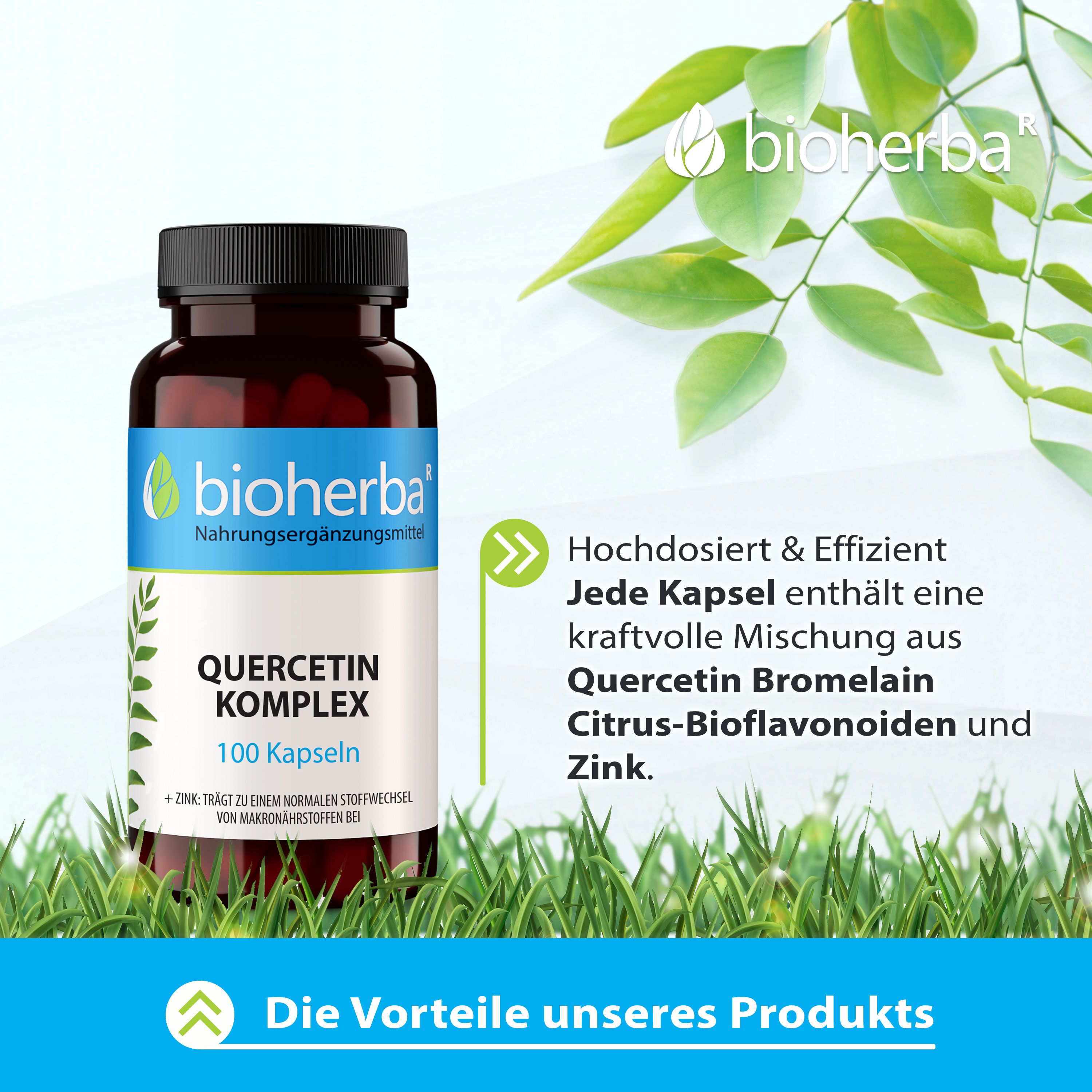 Braune Kapsel-Dose mit schwarzem Deckel. Aufschrift: Bioherba, Quercetin Komplex, 100 Kapseln. Grün-weißes Etikett. Grünpflanzen im Hintergrund.