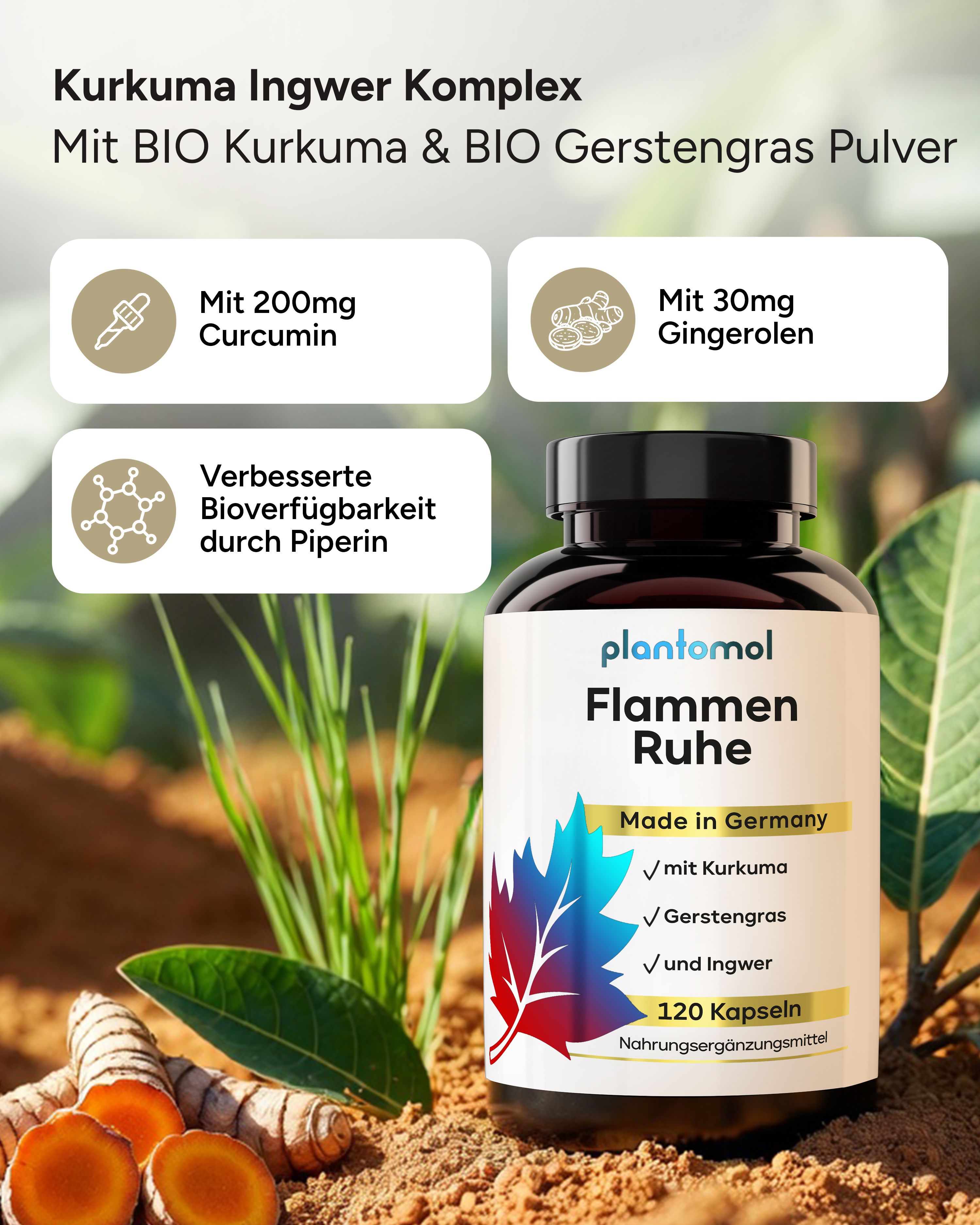 Flasche plantomol® Flammen Ruhe. Mit Kurkuma, Gerstengras, Ingwer. 120 Kapseln. Text: 200mg Curcumin, 30mg Gingerolen.