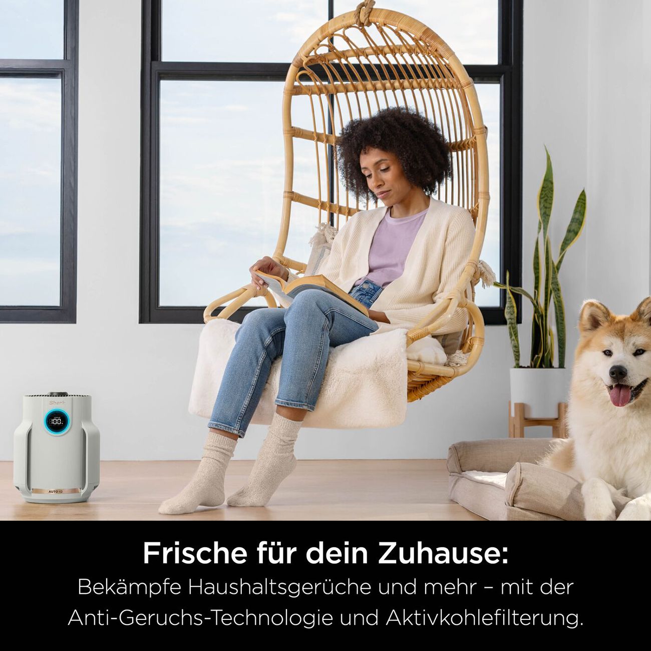 Shark NeverChange Compact Pro HP072EU Luftreiniger