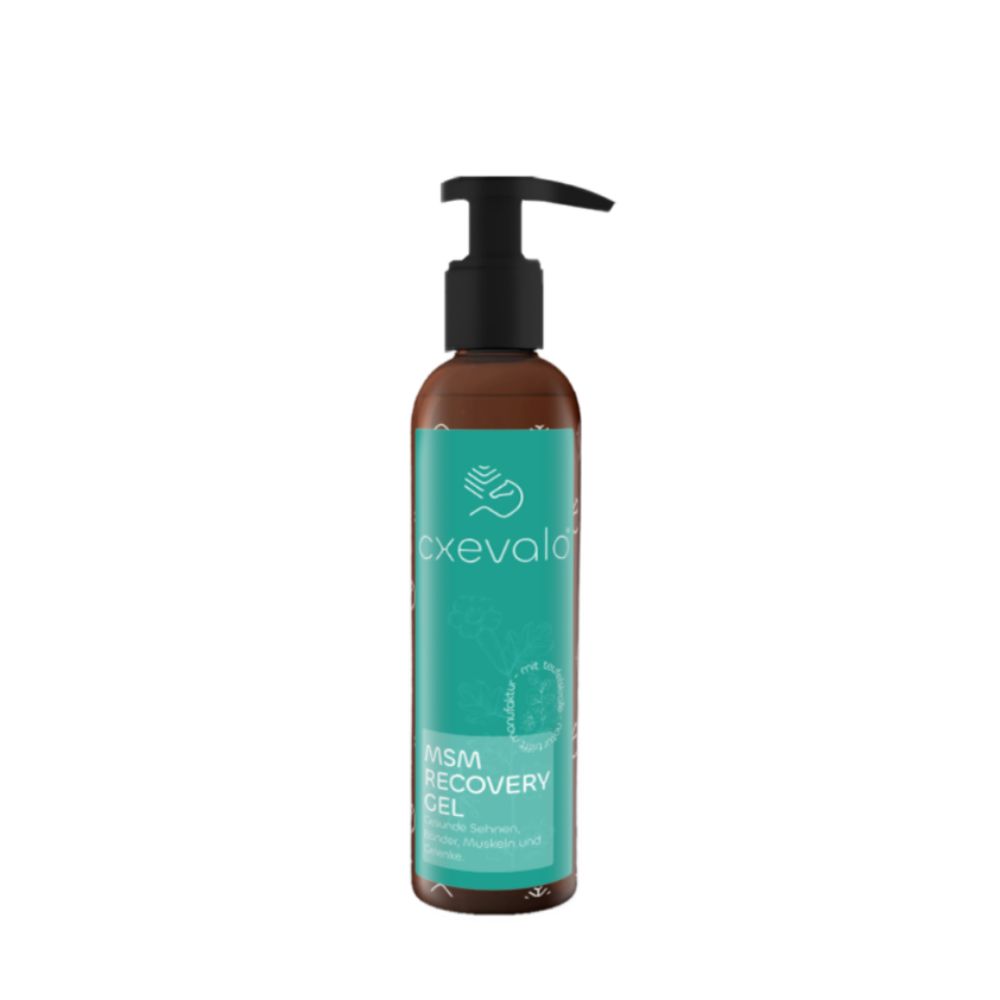 Braune Flasche mit schwarzem Pumpkopf. Aufschrift: cxevalo, MSM Recovery Gel.