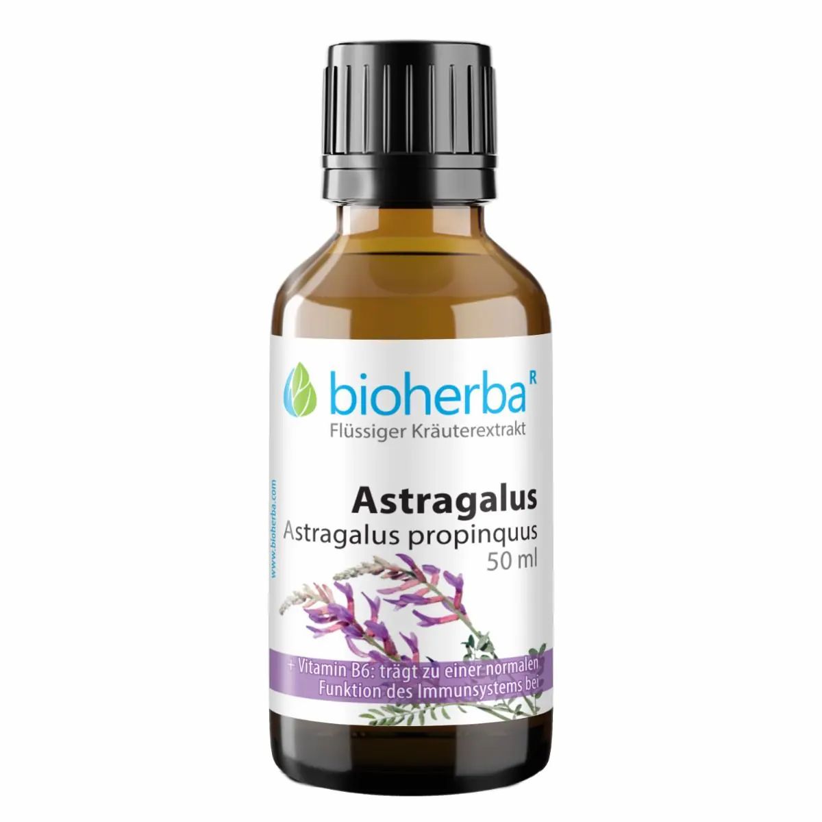 Bioherba Astragalus  Astragalus propinquus  Tropfen  Tinktur Extrakt