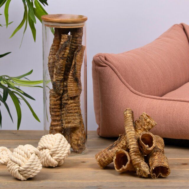 Rinderstrossen in einem Glasbehälter und daneben. Dekoration: Spielzeug, Kissen.