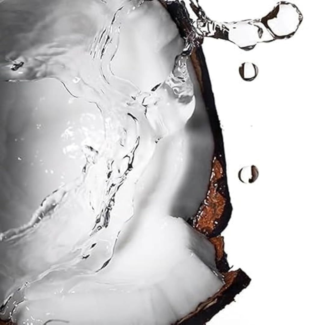 Kokosnuss mit Wasser. Wasser spritzt auf Kokosnuss. Nahaufnahme, weißer Hintergrund.