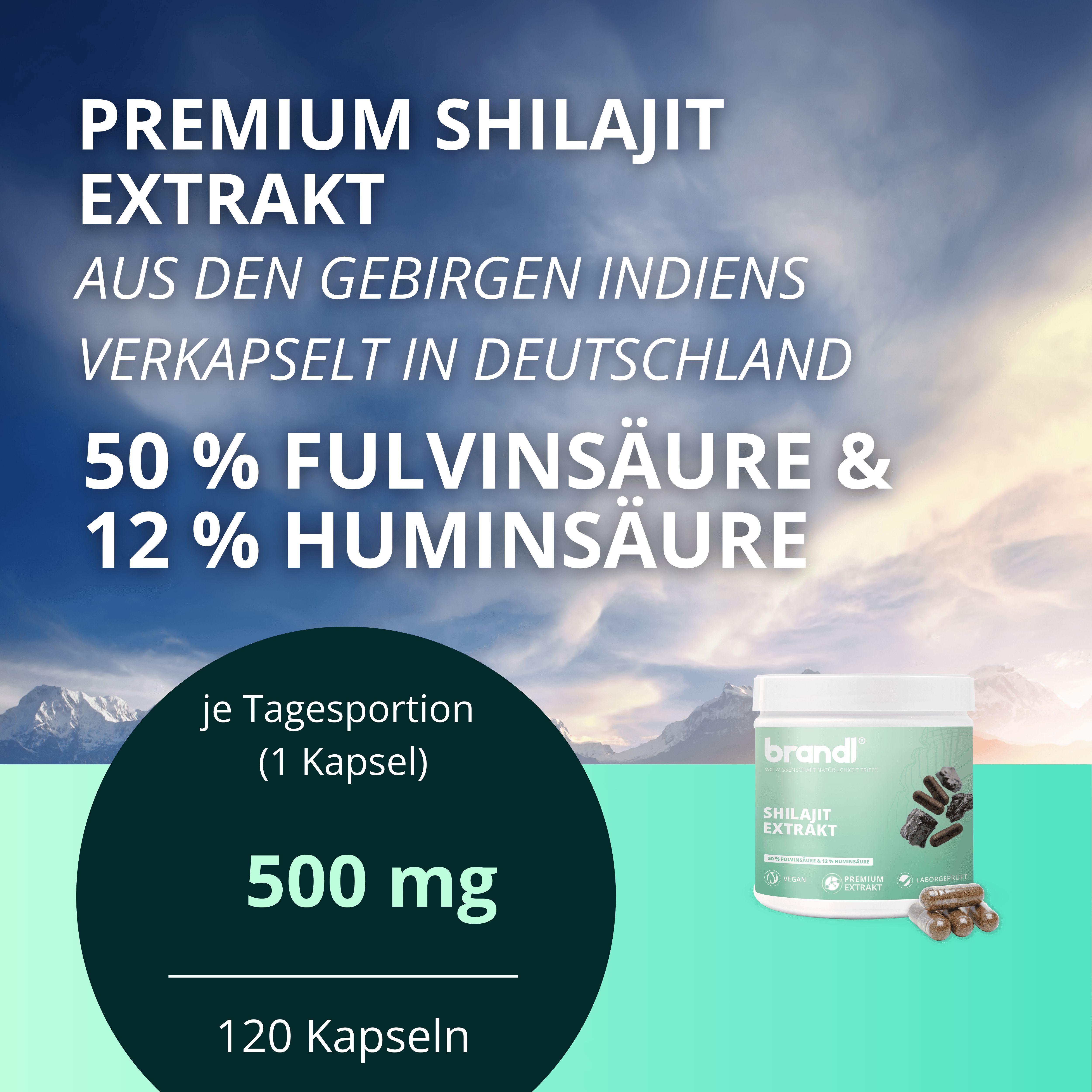 Kapseln in Dose. Text: Premium Shilajit Extrakt, 50% Fulvinsäure & 12% Huminsäure. 120 Kapseln. Marke: brandl.
