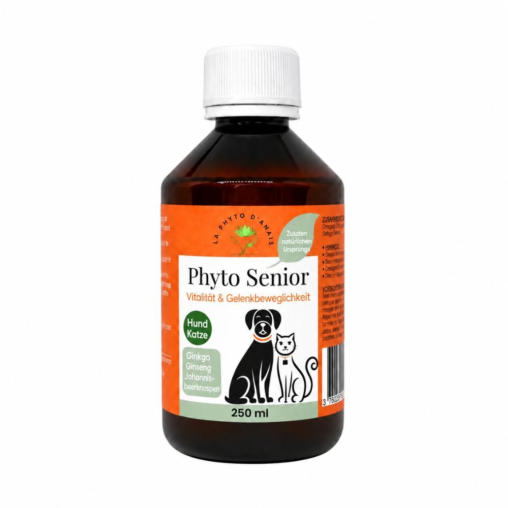 Phyto Senior Flüssigkeit in brauner Glasflasche, 250ml. Für Hunde und Katzen zur Vitalität und Gelenkbeweglichkeit. Zutaten: Ginkgo, Ginseng, Johannisbeere.