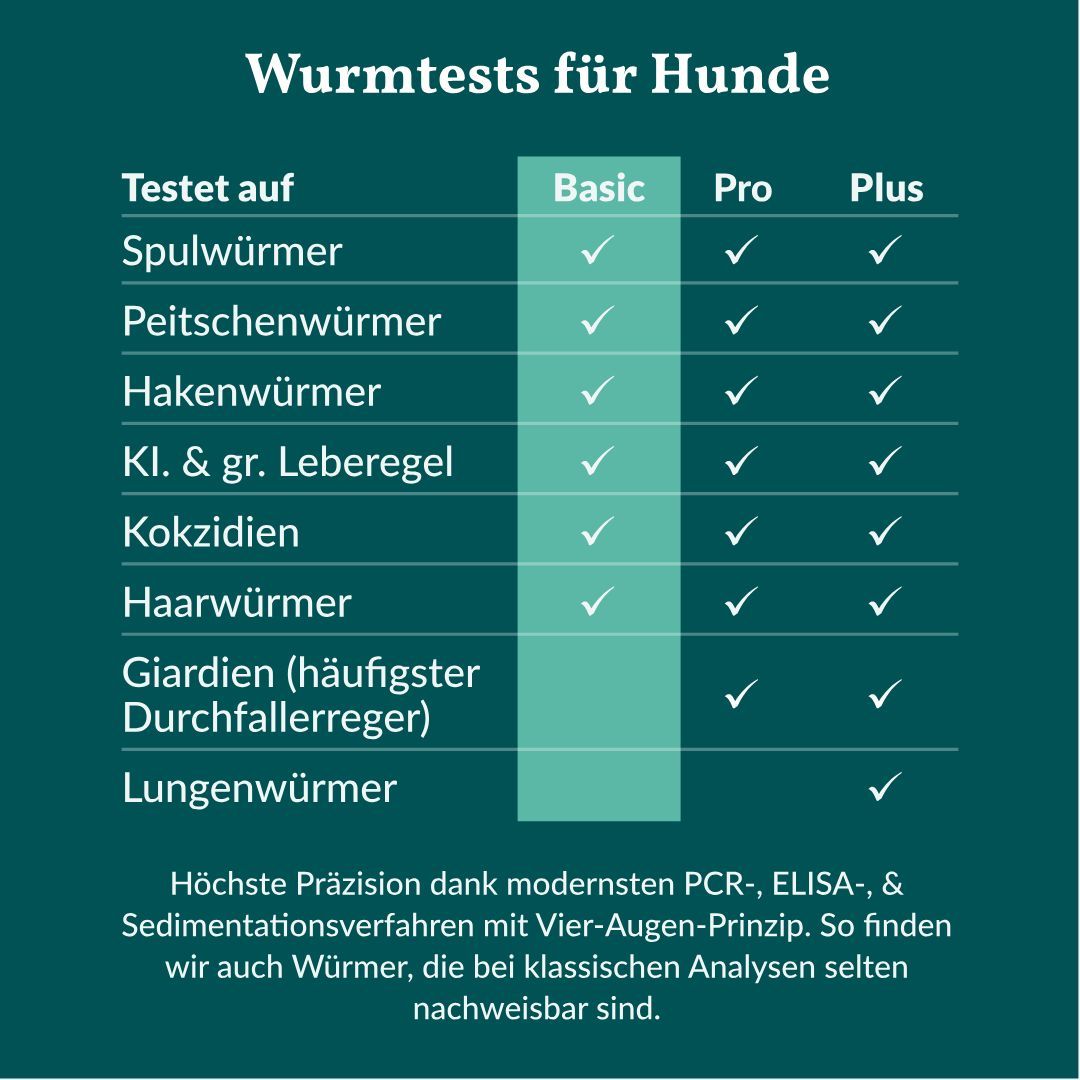 Vergleichstabelle für Wurmtests bei Hunden: Spulwürmer, Hakenwürmer, Kokzidien.