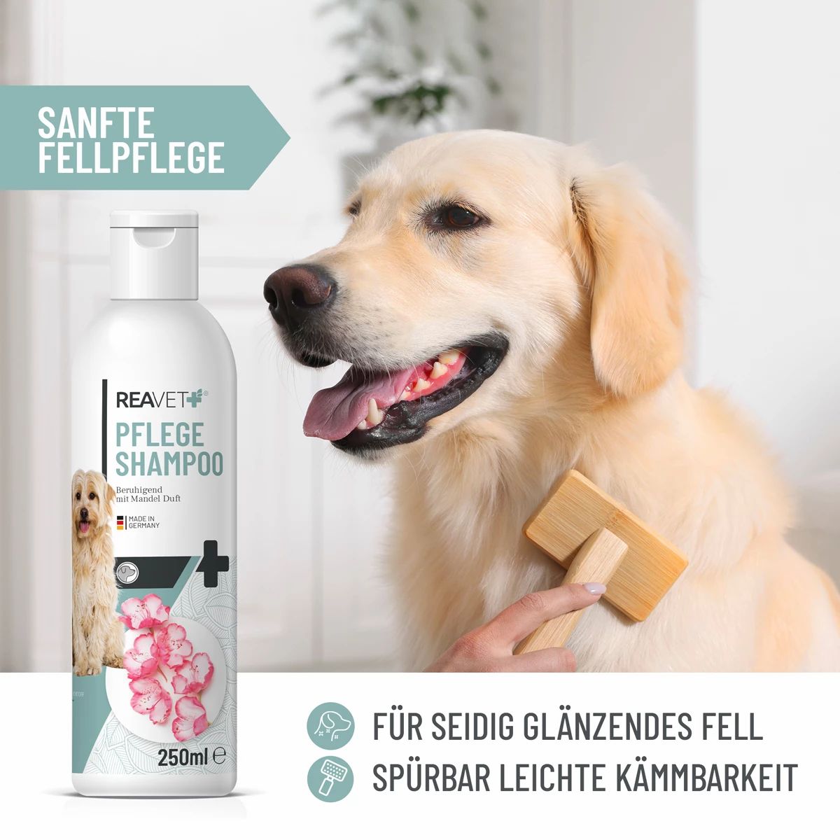 Hund wird gebürstet. Daneben Flasche mit Etikett: REAVET Pflege Shampoo. Text: Für seidig glänzendes Fell, leicht kämmbar.