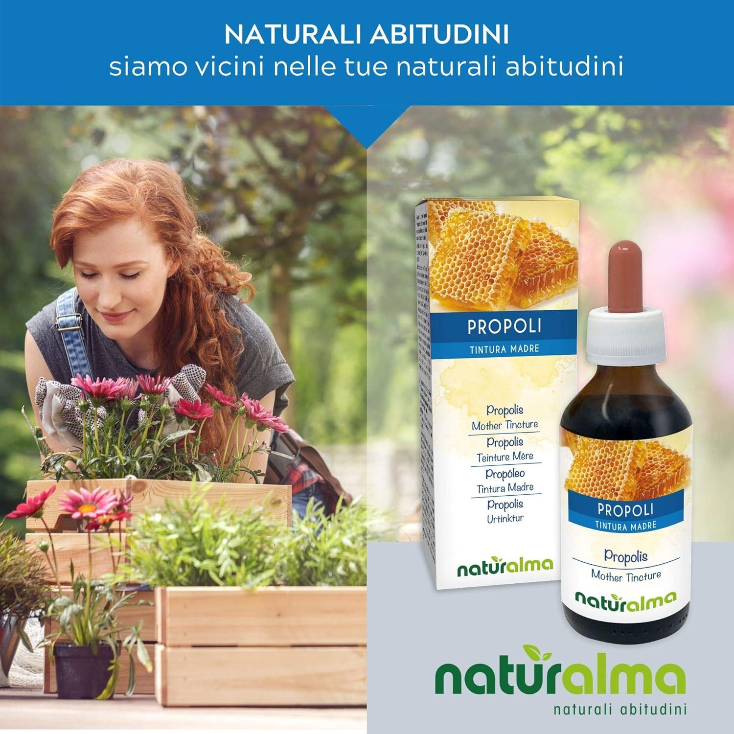 Braune Glasflasche und Verpackung mit dem Produkt Propoli. Aufschrift: Propolis, Tinktur. Marke: naturalma.