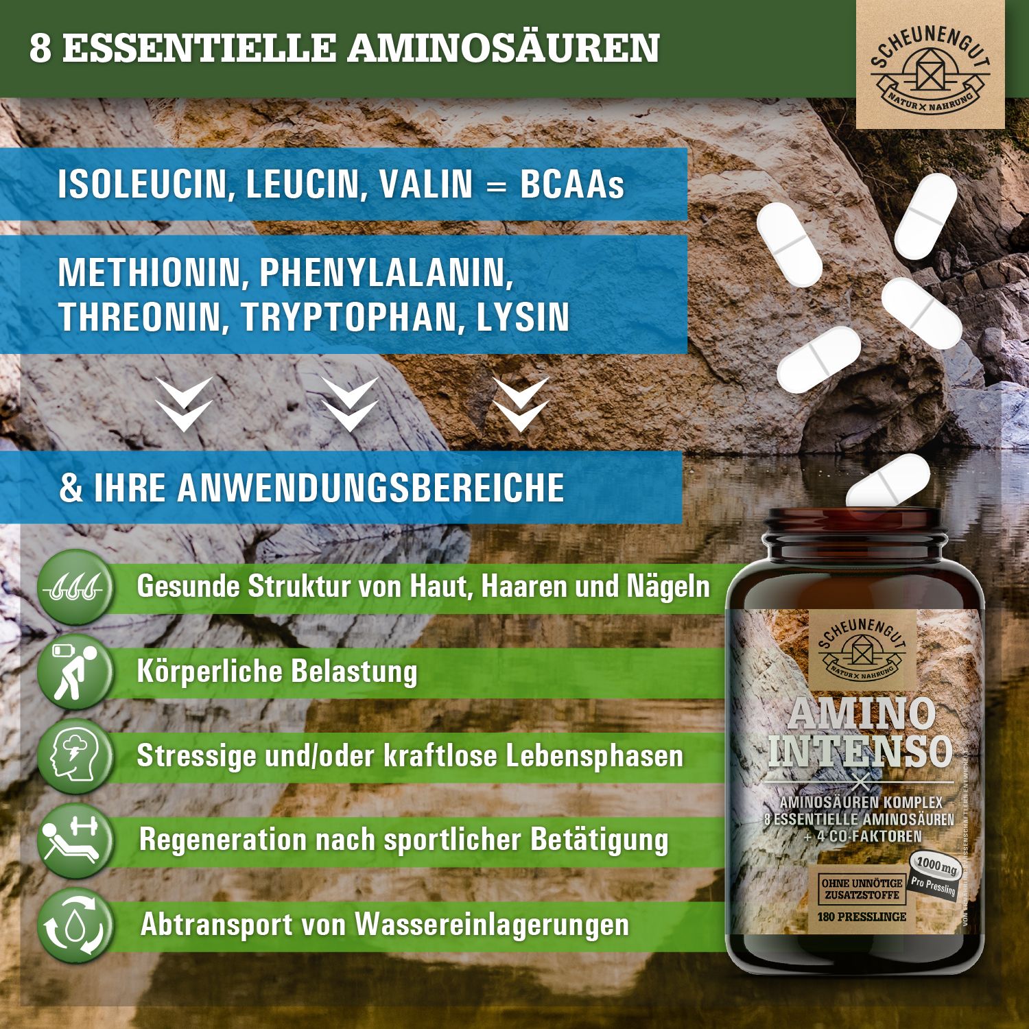 Braune Glasflasche mit Tabletten. Text: 8 essentielle Aminosäuren, BCAAs, Anwendungsbereiche. Scheunengut Logo.