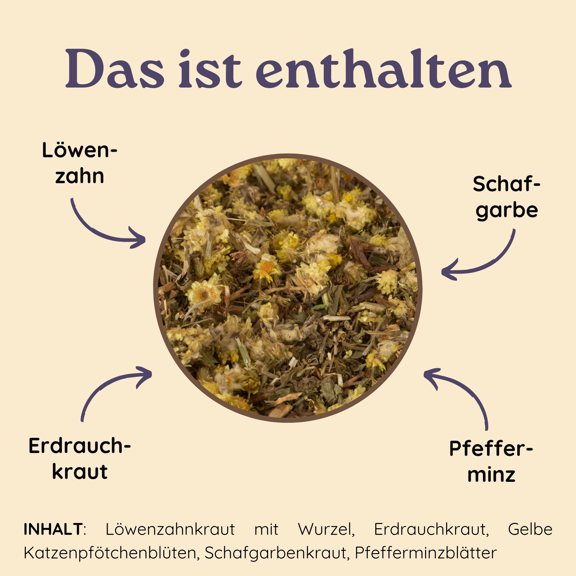 Schlosskräuter Lebertee