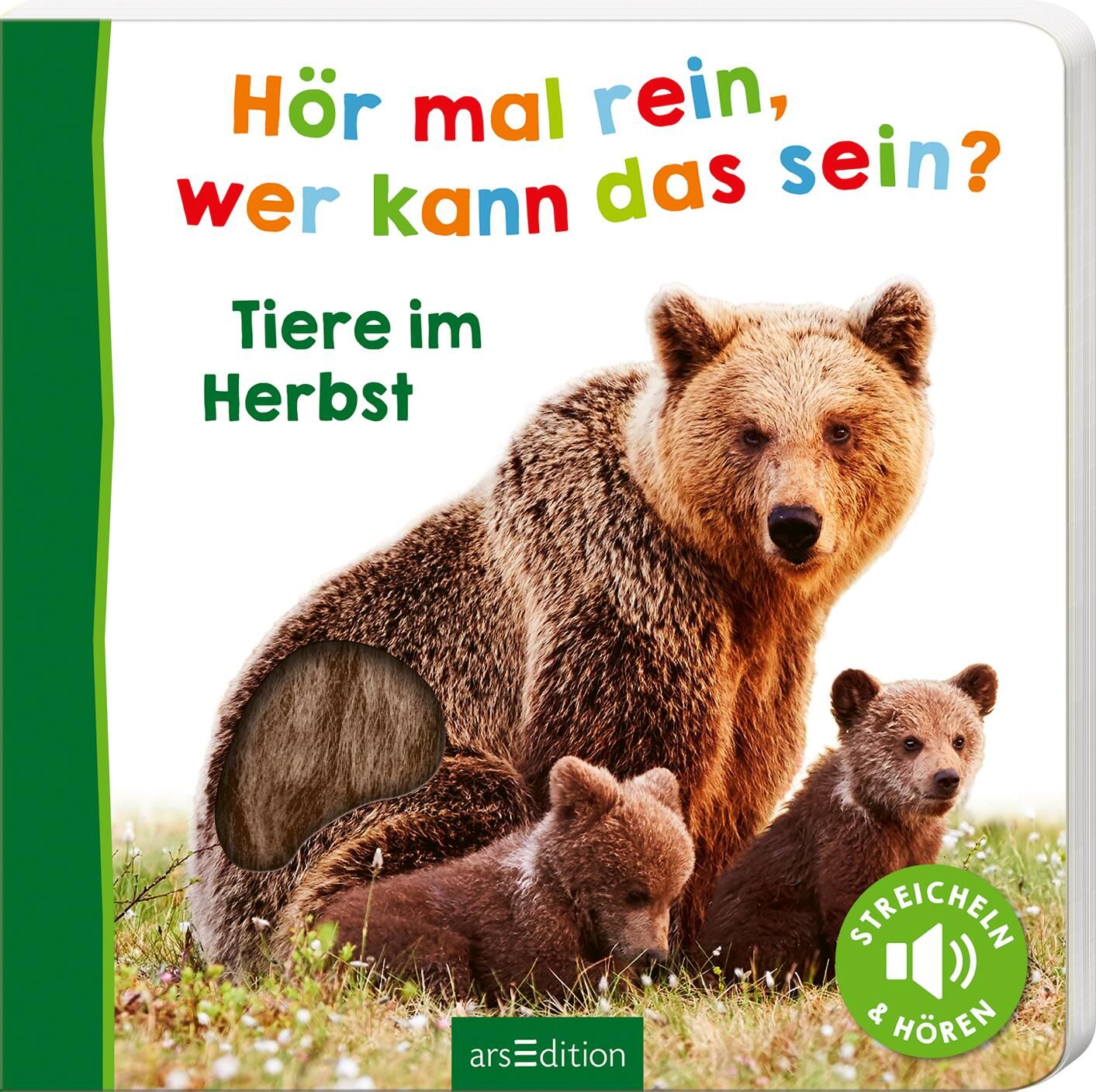 Buchcover mit Bär und Jungtieren. Titel: Hör mal rein, wer kann das sein? Tiere im Herbst. Mit Streicheln & Hören-Symbol.