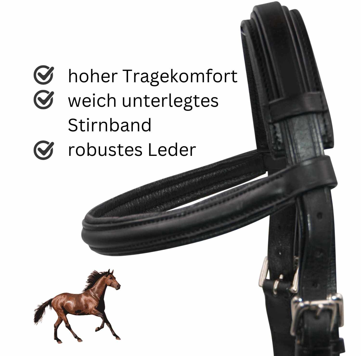 Schwarzer Kappzaum mit gepolstertem Stirnband. Robustes Leder. Hoher Tragekomfort. Bild eines Pferdes.