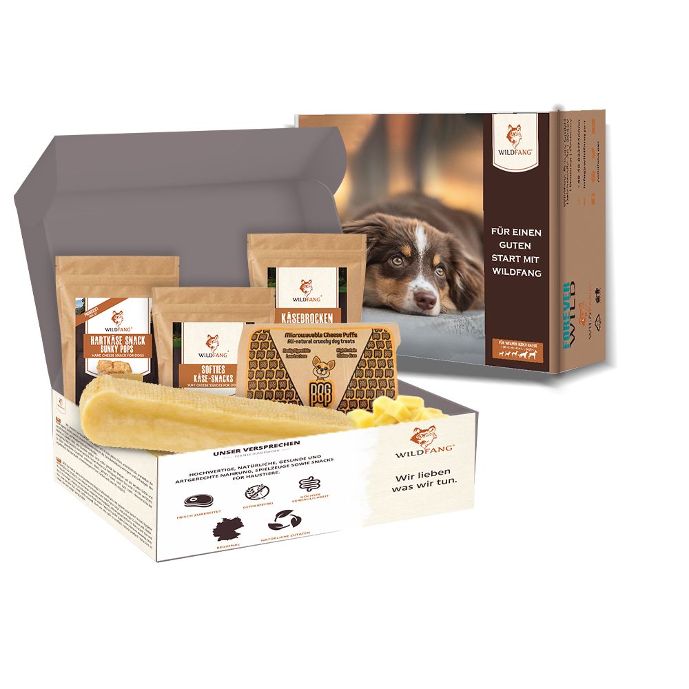 Geschenkbox mit verschiedenen Käseprodukten. Enthält Snacks, Kaustäbe und Käsewürfel. Aufschrift: Wildfang.