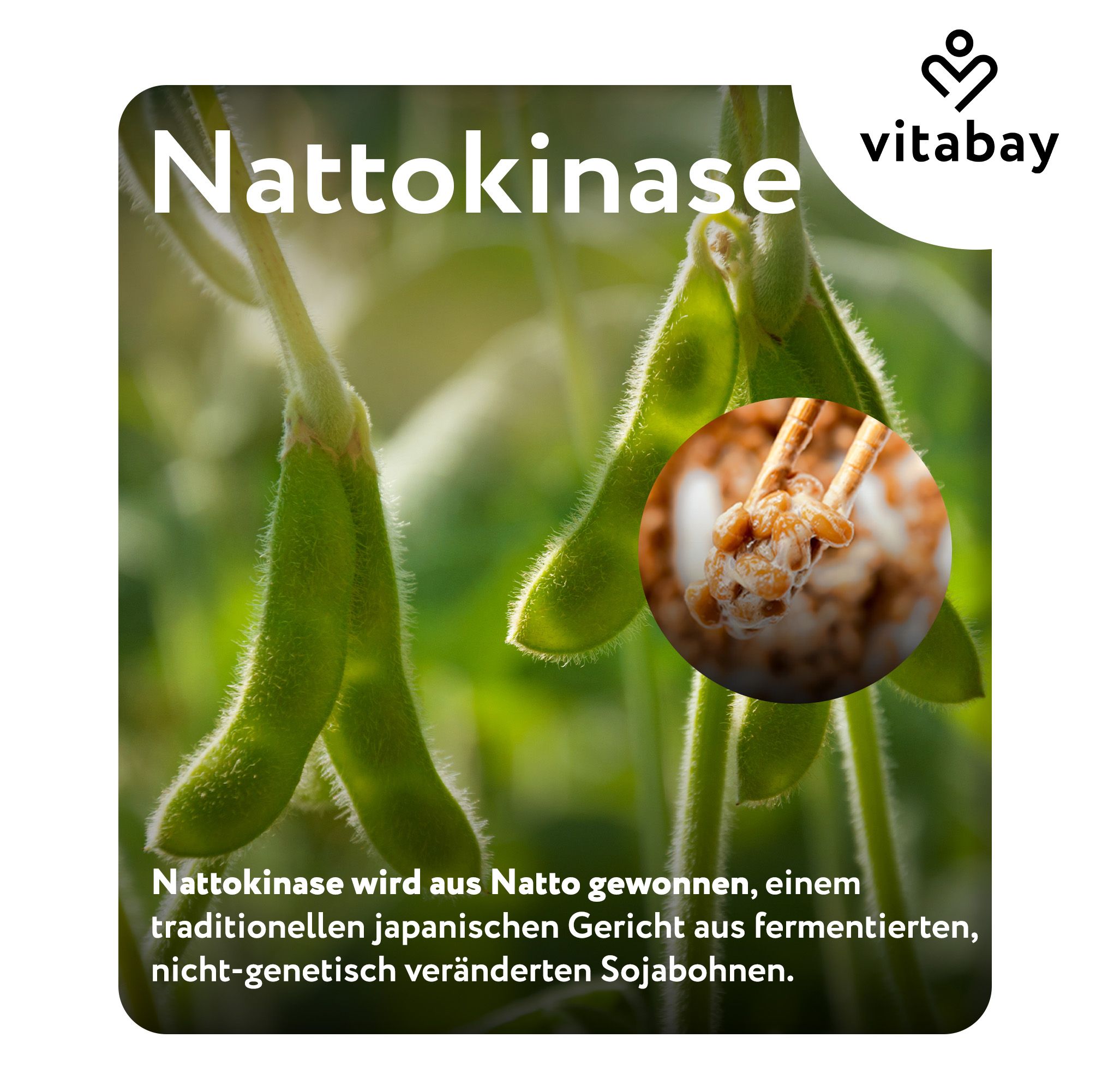 Grüne Sojabohnen und Natto. Vitabay Logo. Text: Nattokinase. Beschreibung der Herstellung von Nattokinase aus Natto.