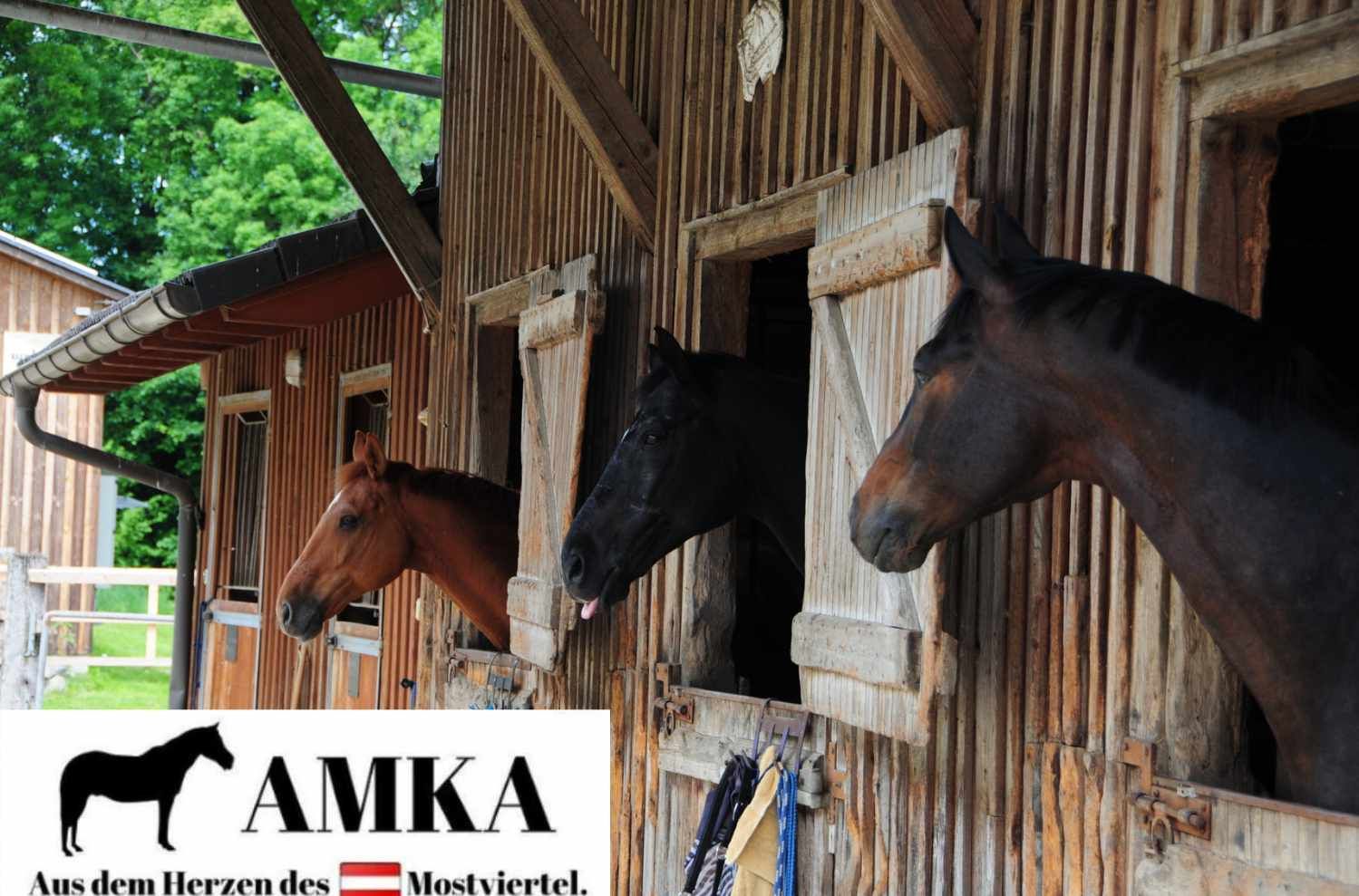 Drei Pferdeköpfe in Stallfenstern. AMKA-Logo. Text: 'Aus dem Herzen des Mostviertels'. Holzstruktur.