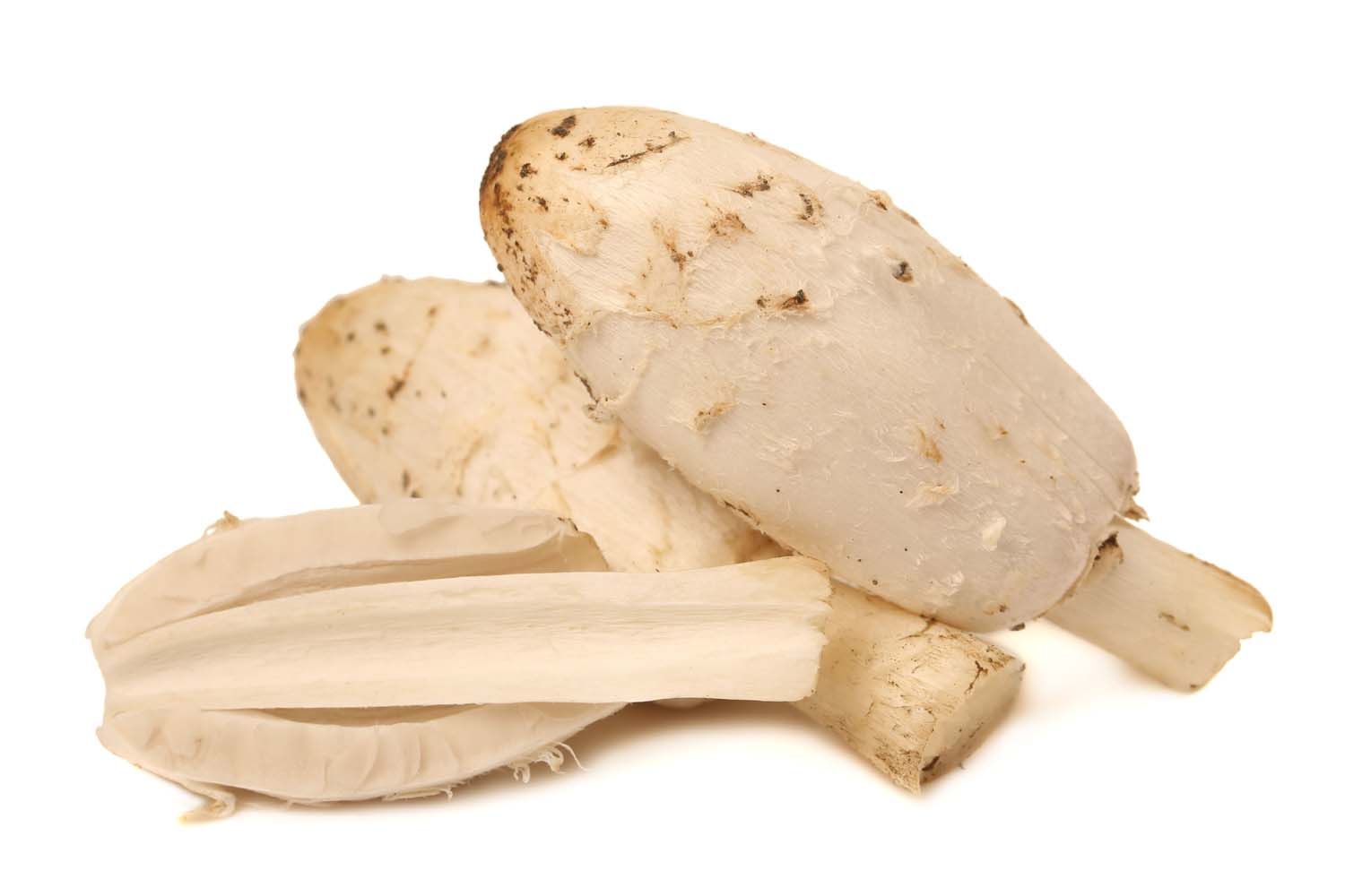 Nahaufnahme von weißen Pilzen. Einige sind in Scheiben geschnitten.