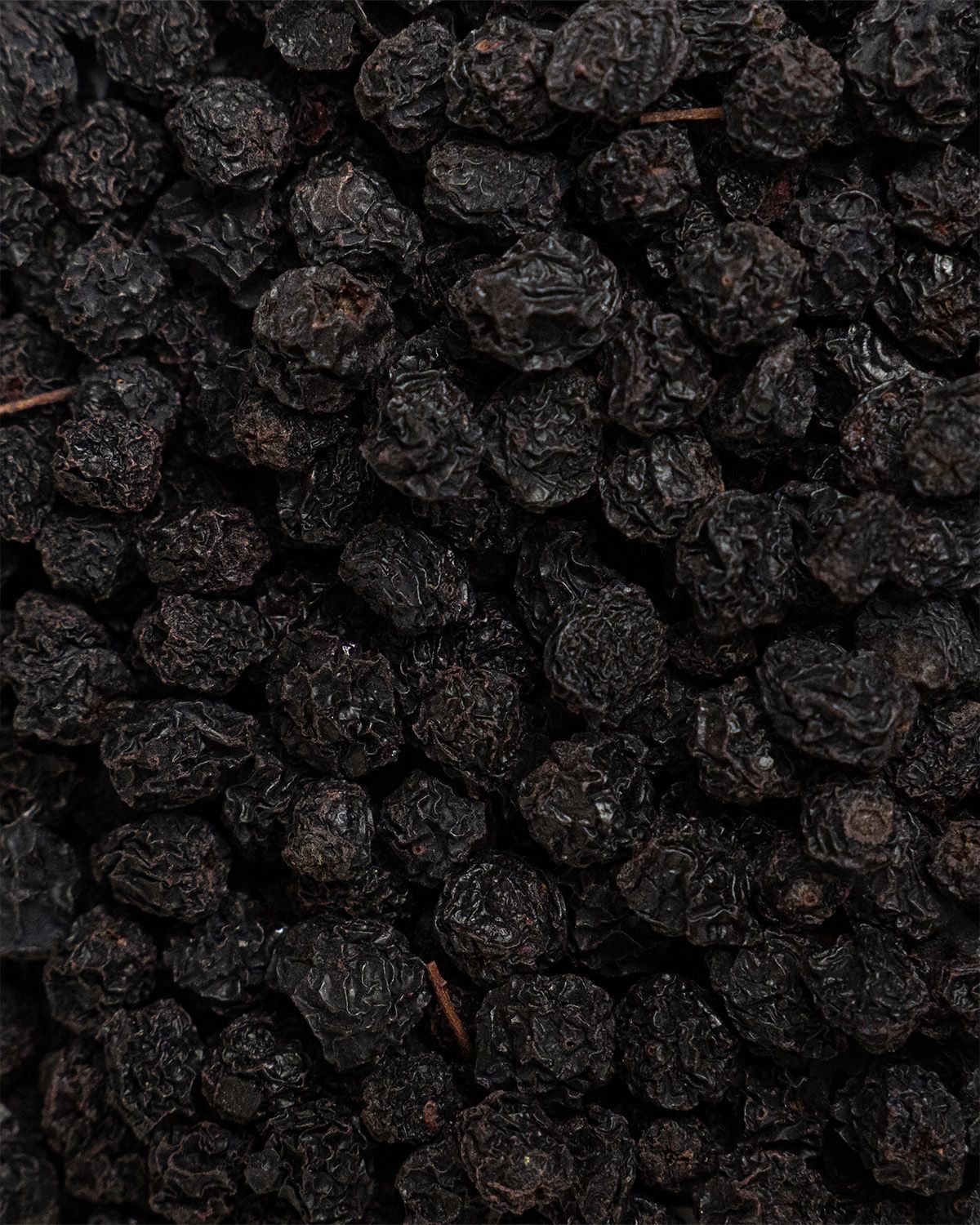 Nahaufnahme von vielen dunklen Beeren. Die Beeren sind unregelmäßig geformt und haben eine dunkle Farbe.