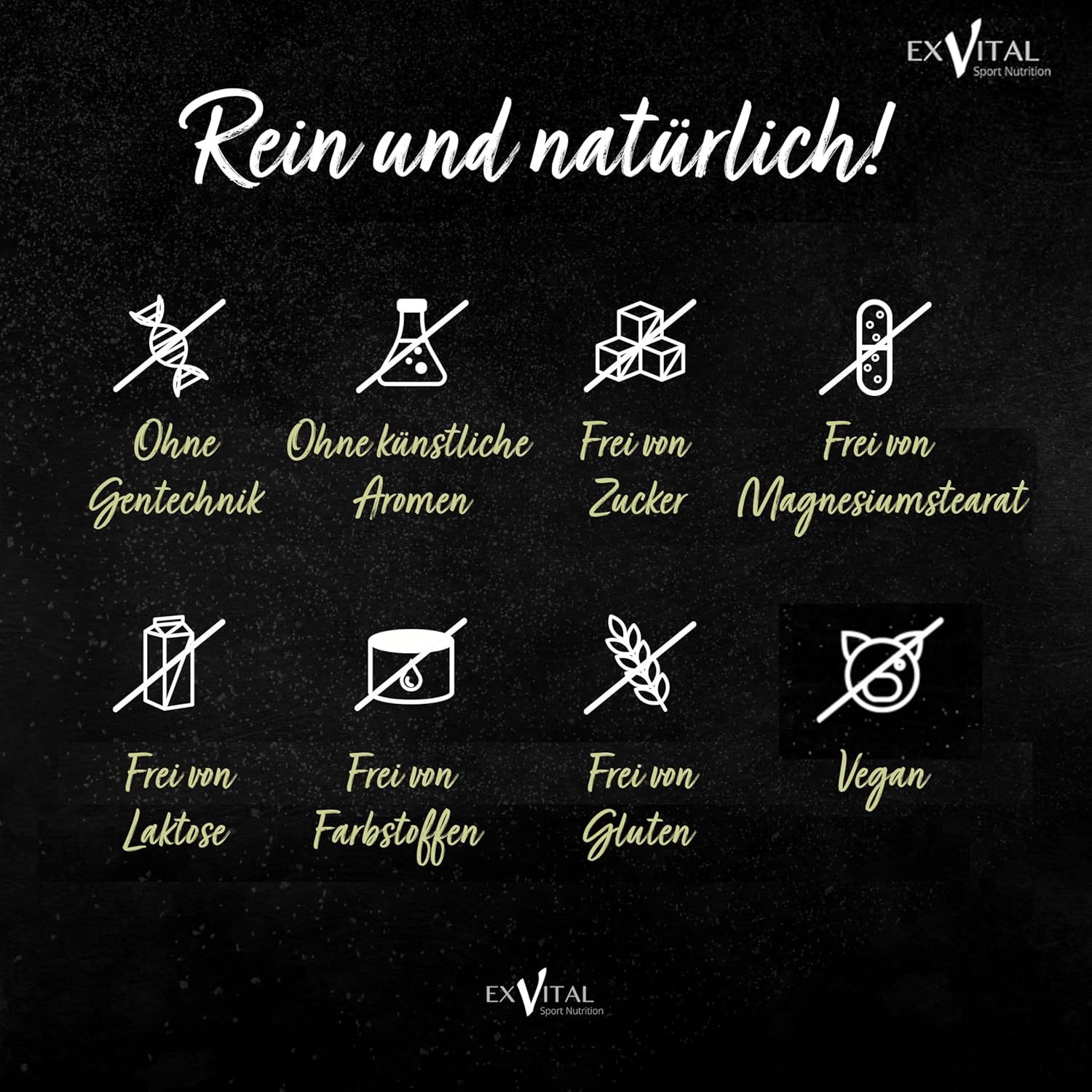Grafik mit Symbolen: Ohne Gentechnik, Aromen, Zucker, Magnesiumstearat, Laktose, Farbstoffe, Gluten. Vegan-Symbol.