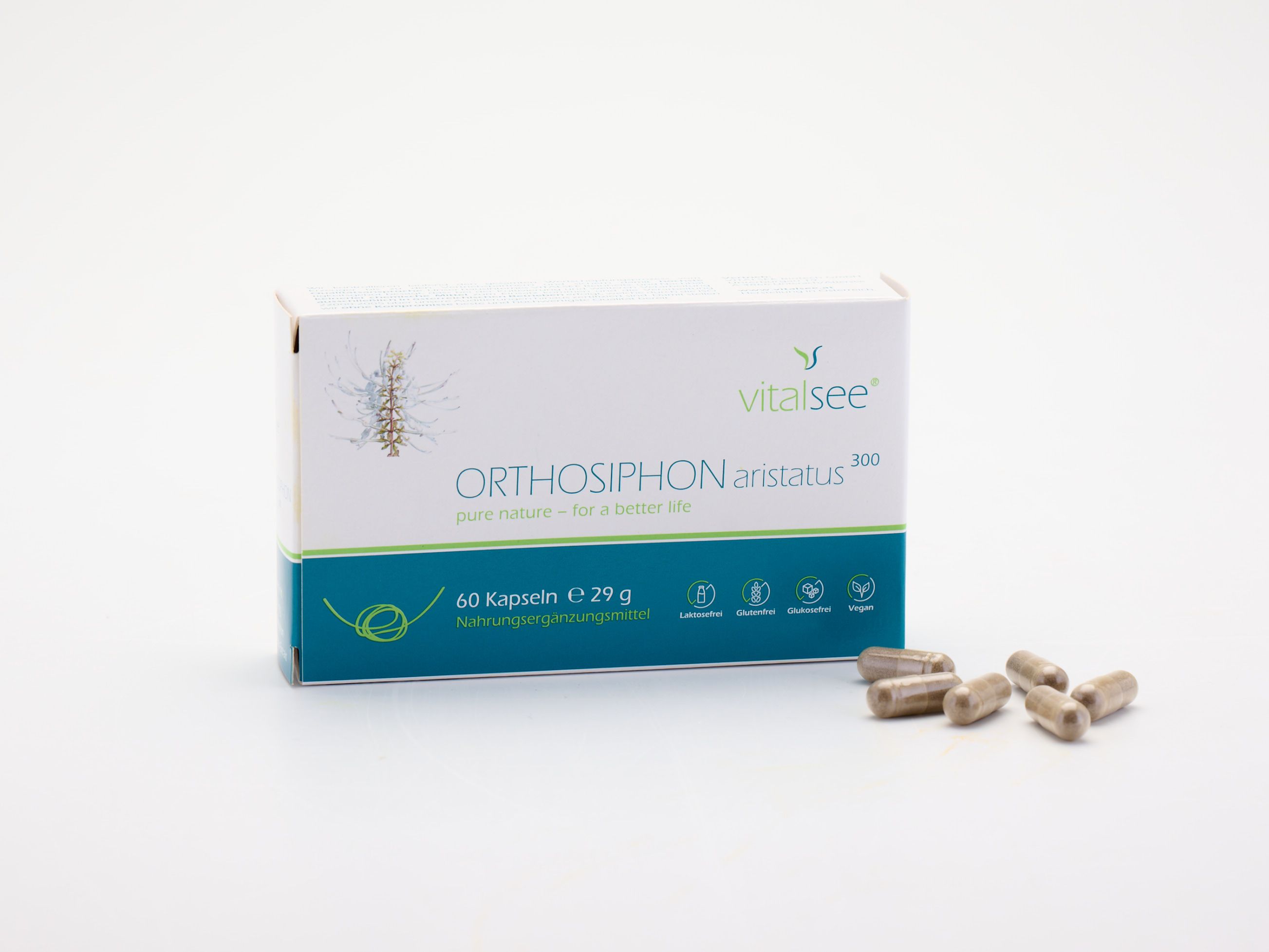 Vitalsee ORTHOSIPHON aristatus 300 Extrakt Packung mit 60 Kapseln und lose Kapseln daneben. Grün-weiße Verpackung.